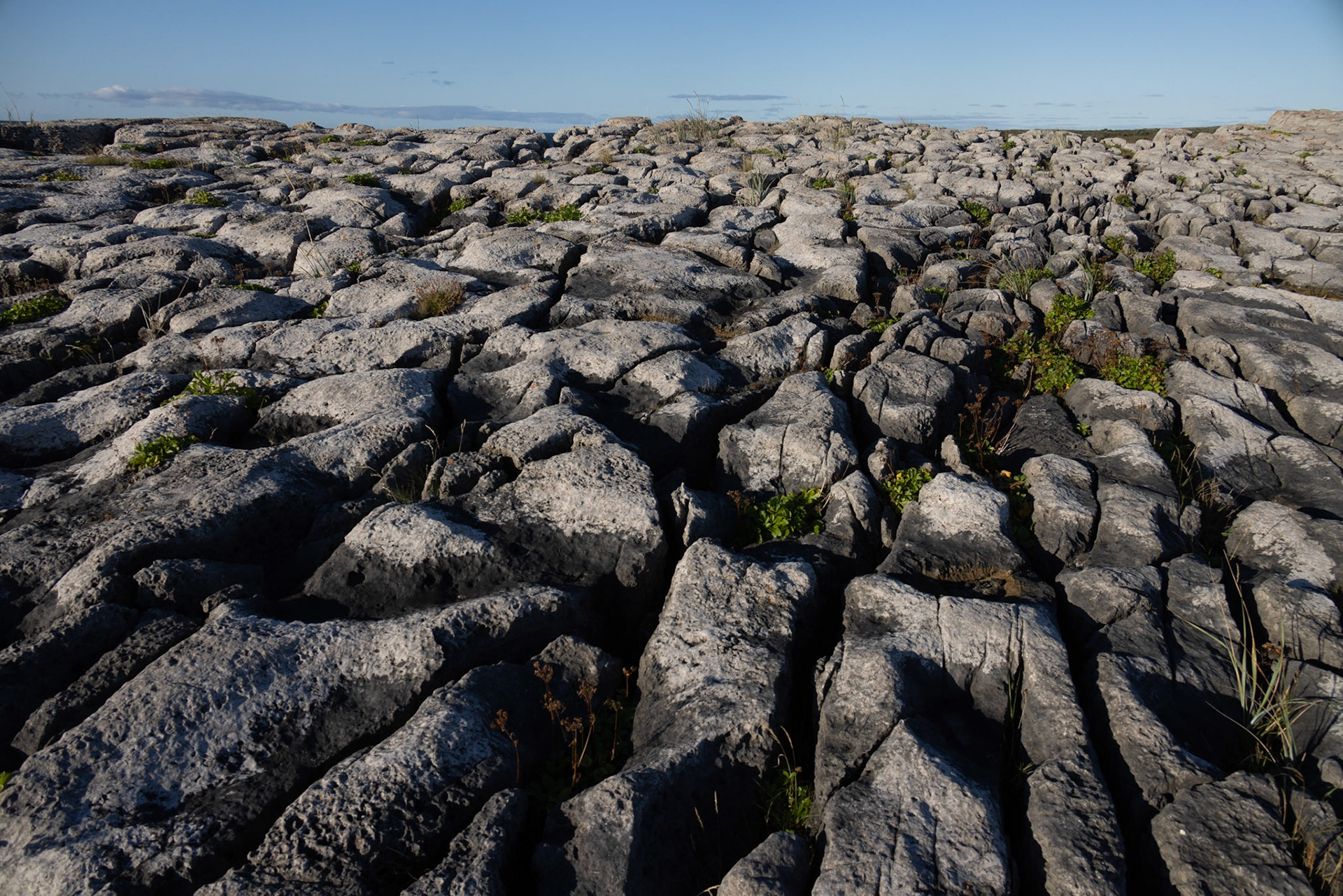 Port au Choix Seashore, NL