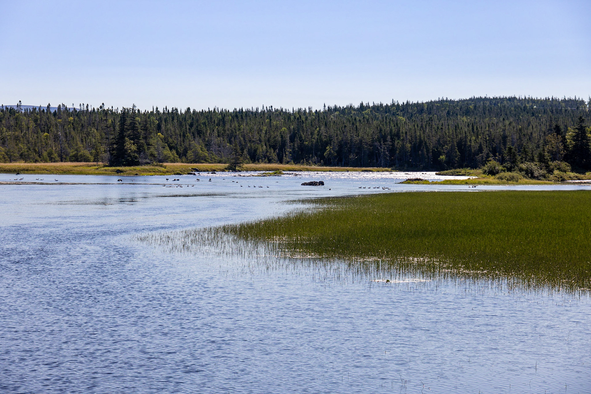 Port au Choix Seashore, NL