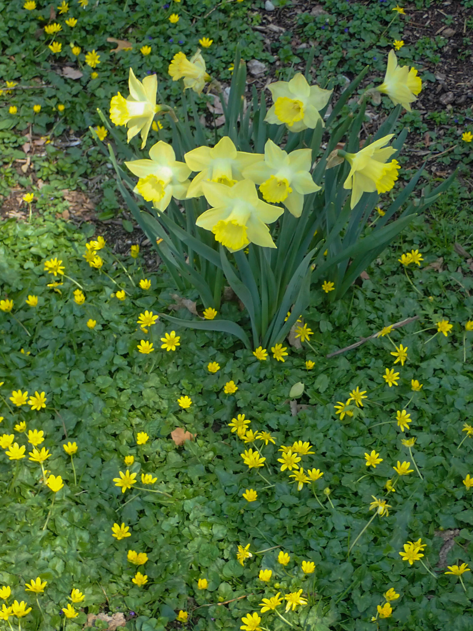 University Cirlcle, Cleveland OH