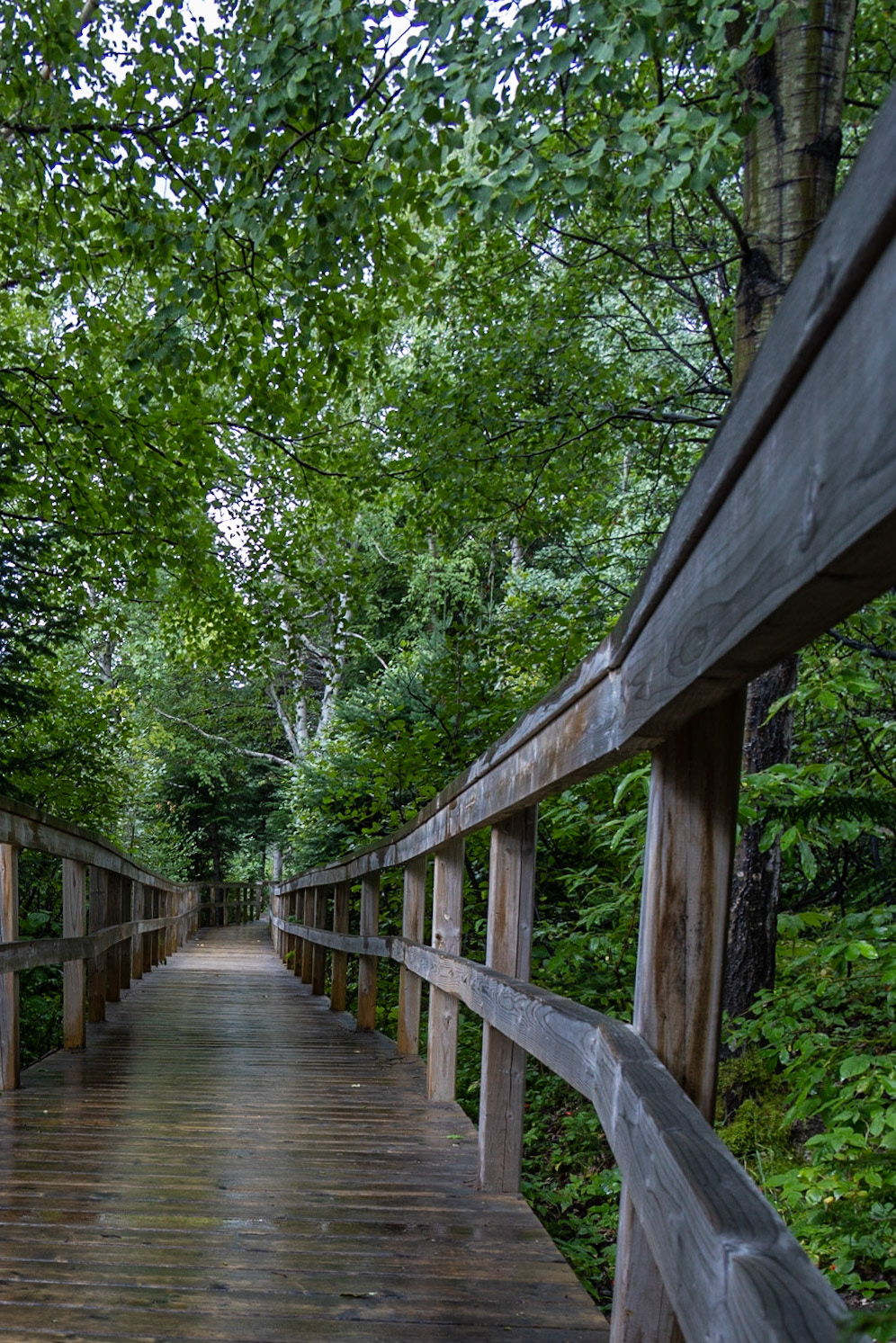 Birch Island Boardwalk, Goose Bay, NL