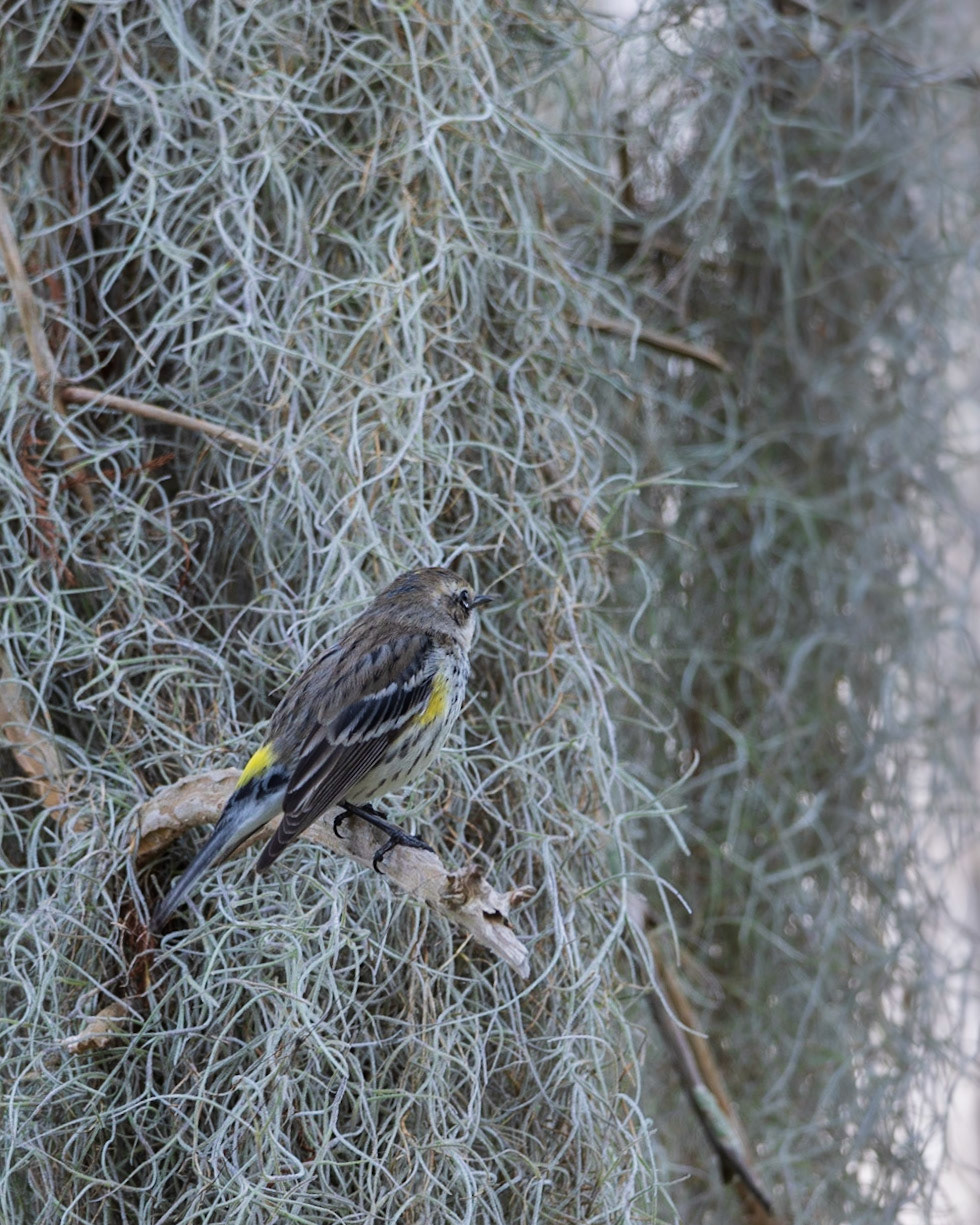 Circle B Bar Reserve FL