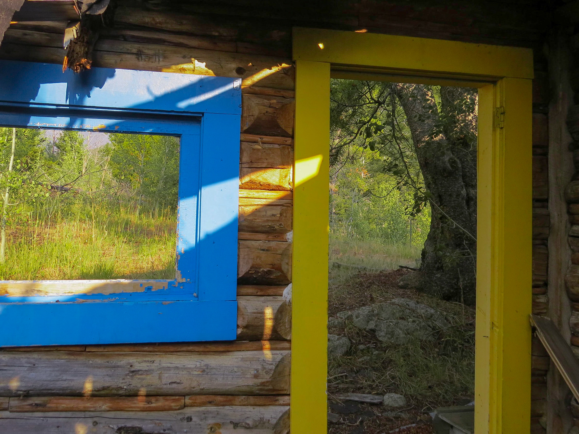 Mill Creek, Tobbacco Root Mts  MT