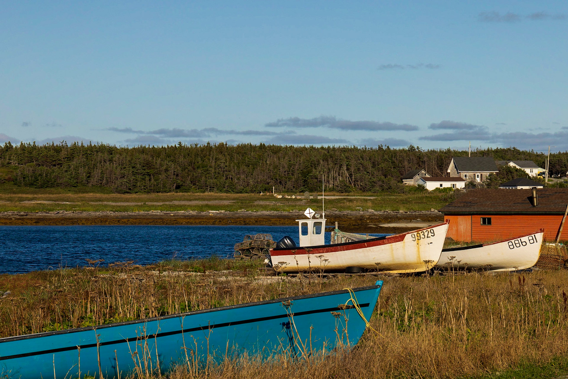 Port au Choix Seashore, NL