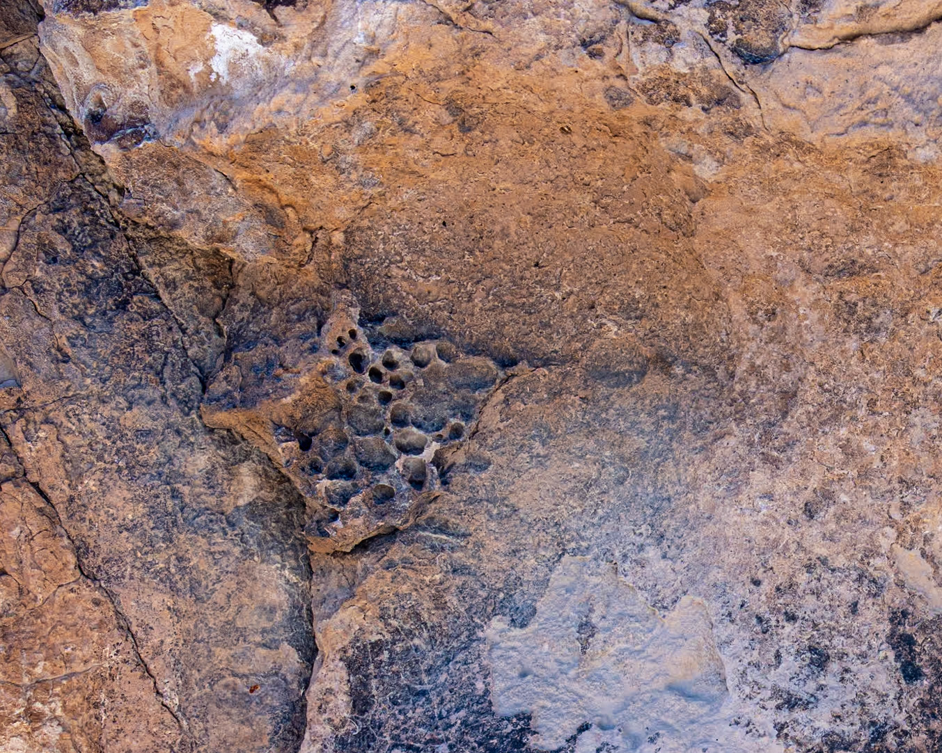 Hickison Petroglyphs, Austin NV