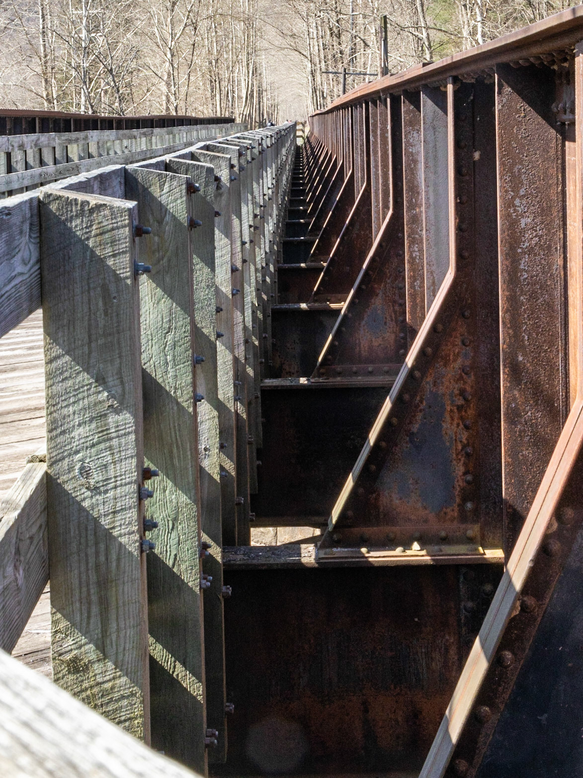 Pine Creek Rail Trail