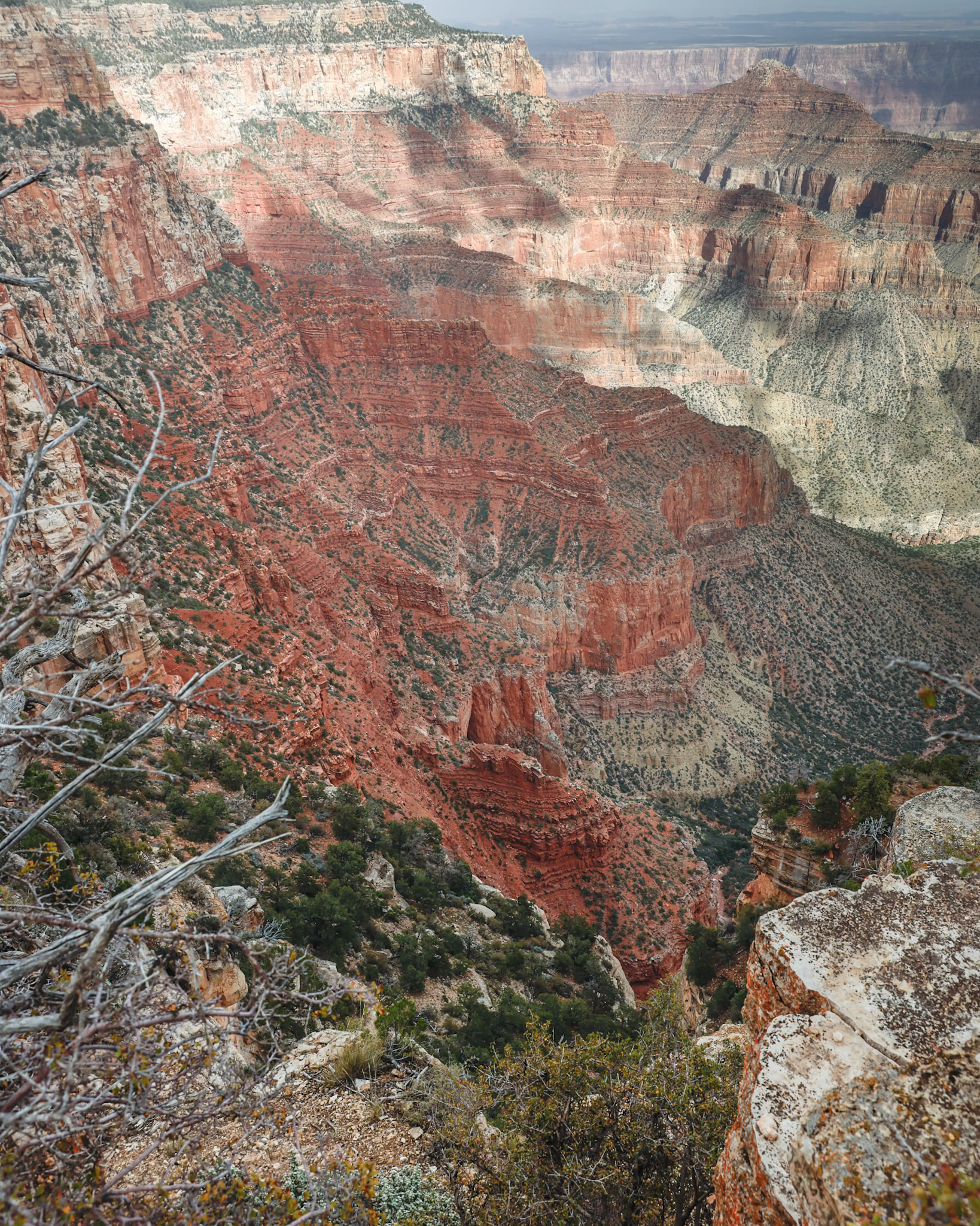 North Rim, Grand Canyon NP AZ
