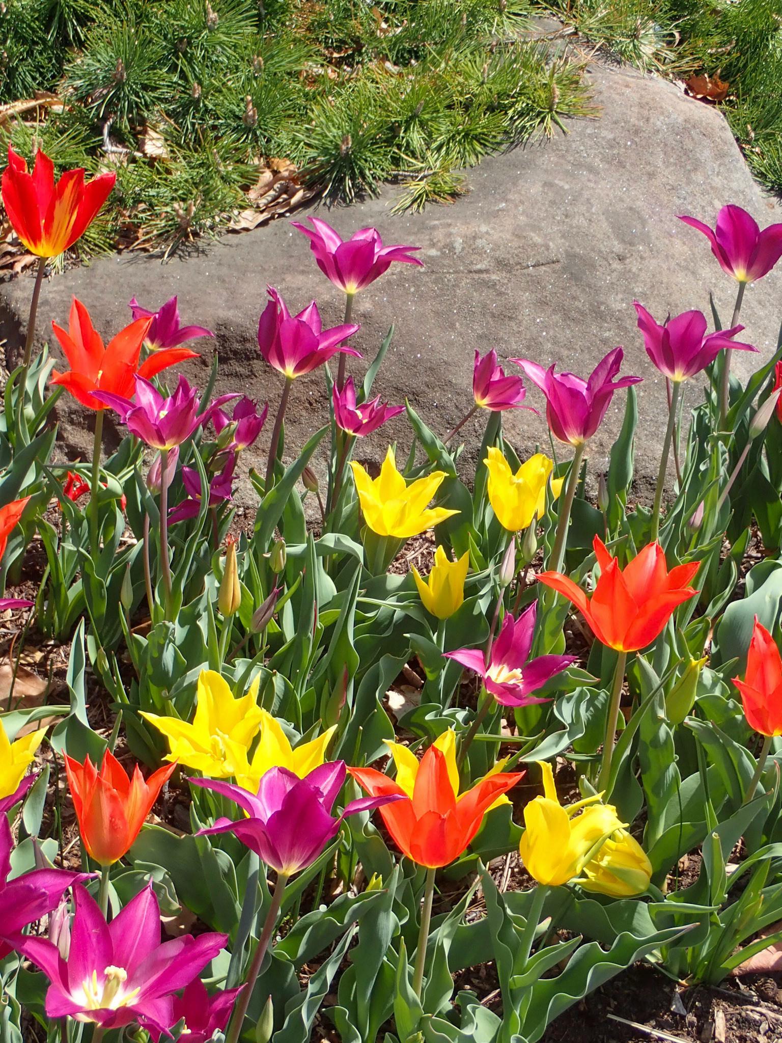 University Cirlcle, Cleveland OH