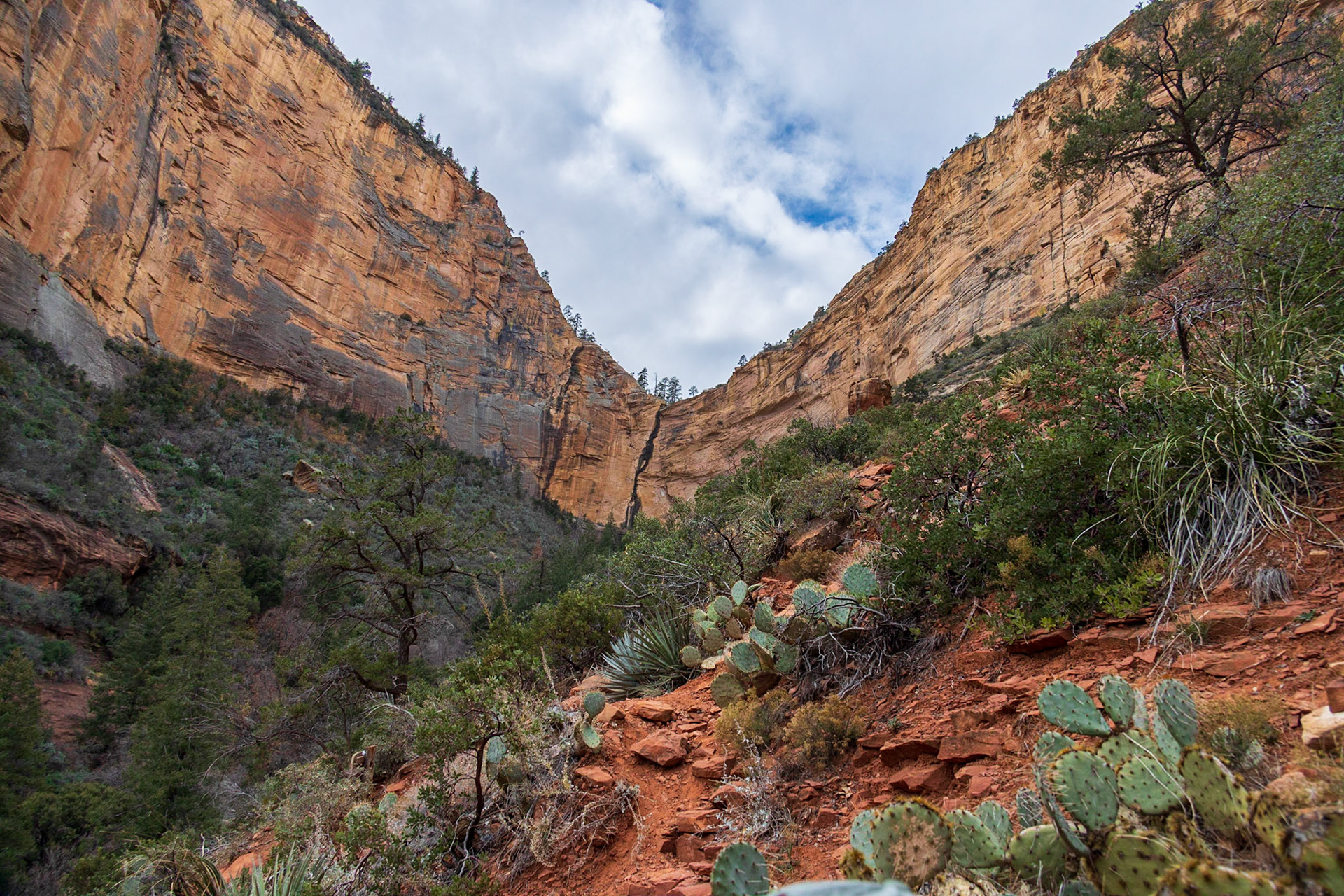 Boynton Canyon Trail, Sedona AZ