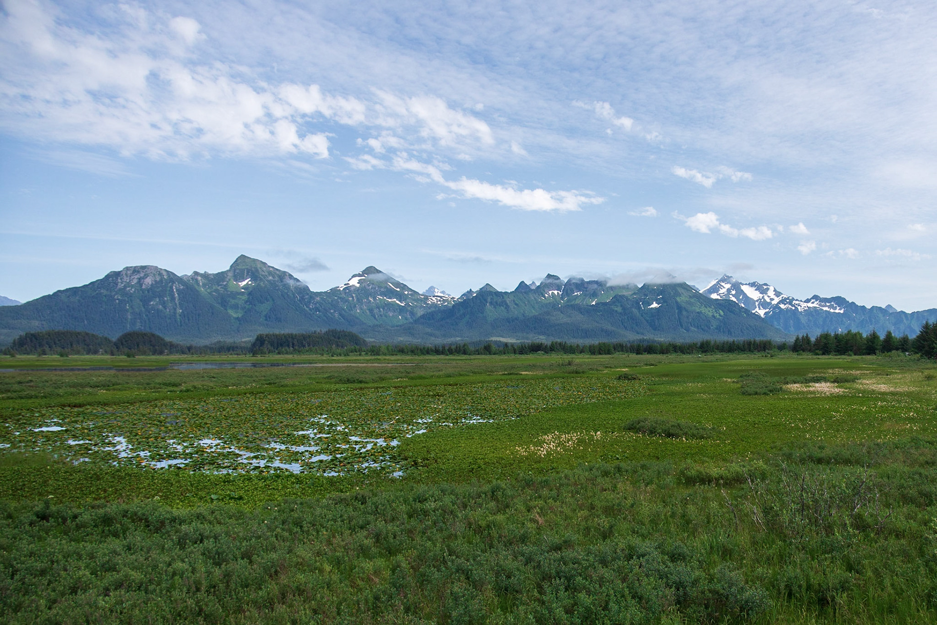 Copper River Delta AK