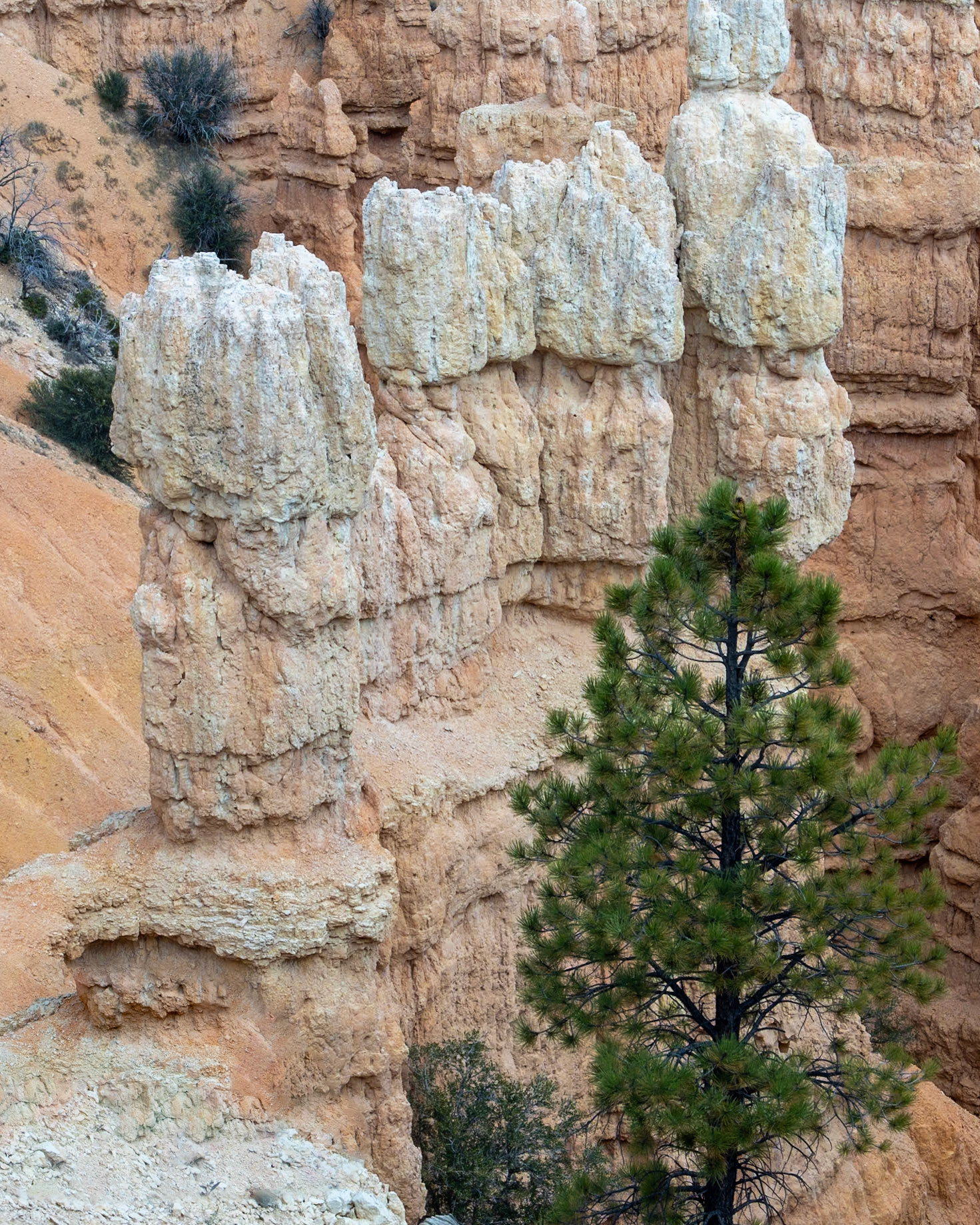Bryce Canyon, Bryce Canyon NP, Tropic UT