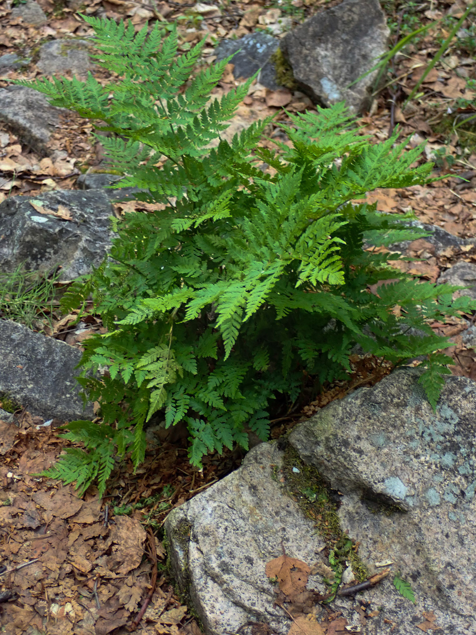 Tanalian Falls Hike, AK