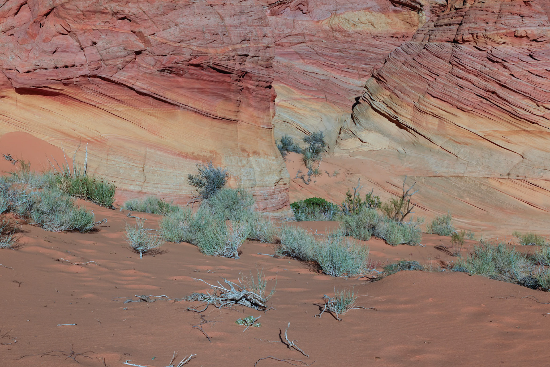 South Coyote Buttes, Vermillion Cliffs AZ