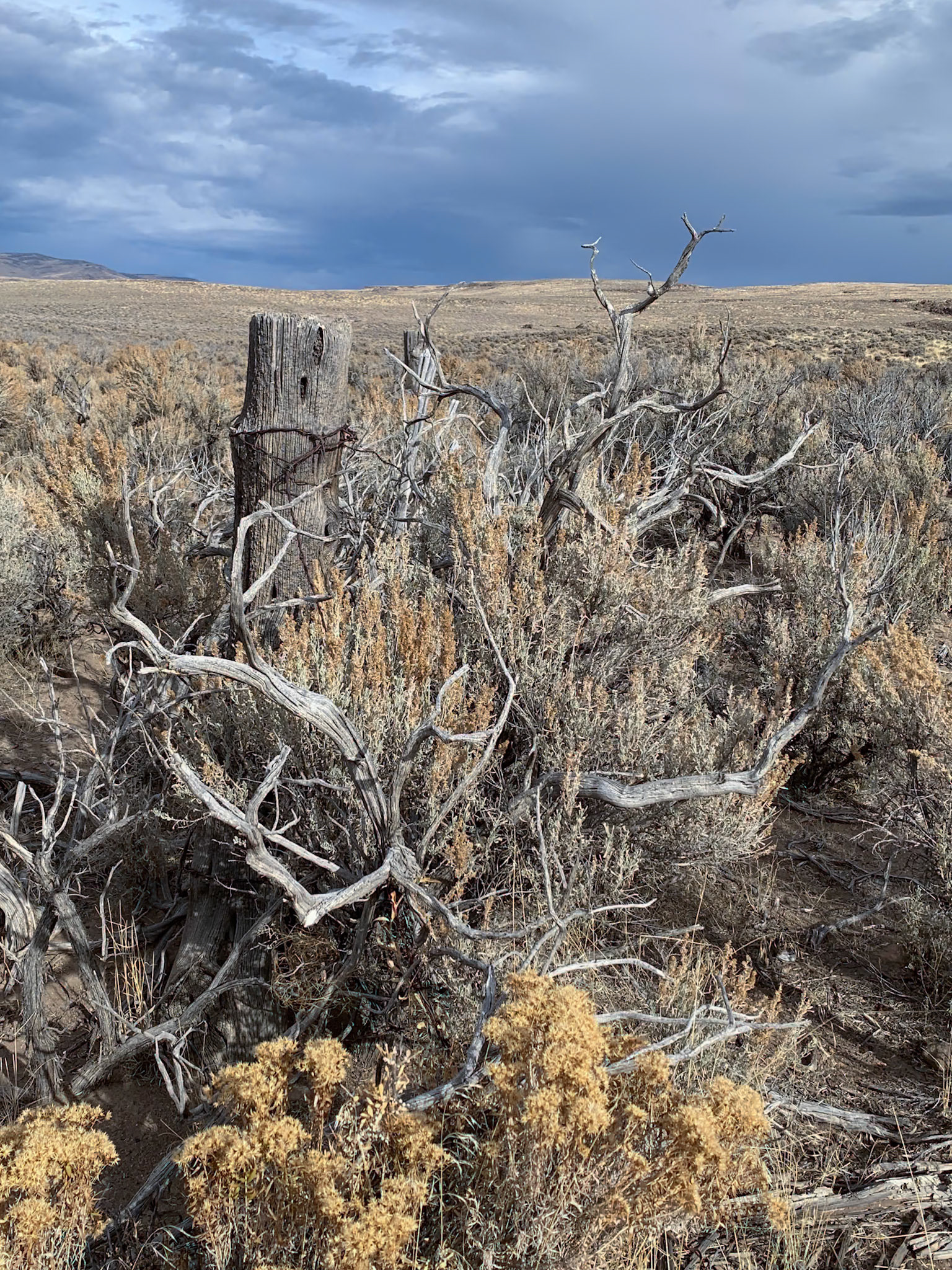North Black Rock Range Wilderness, NV