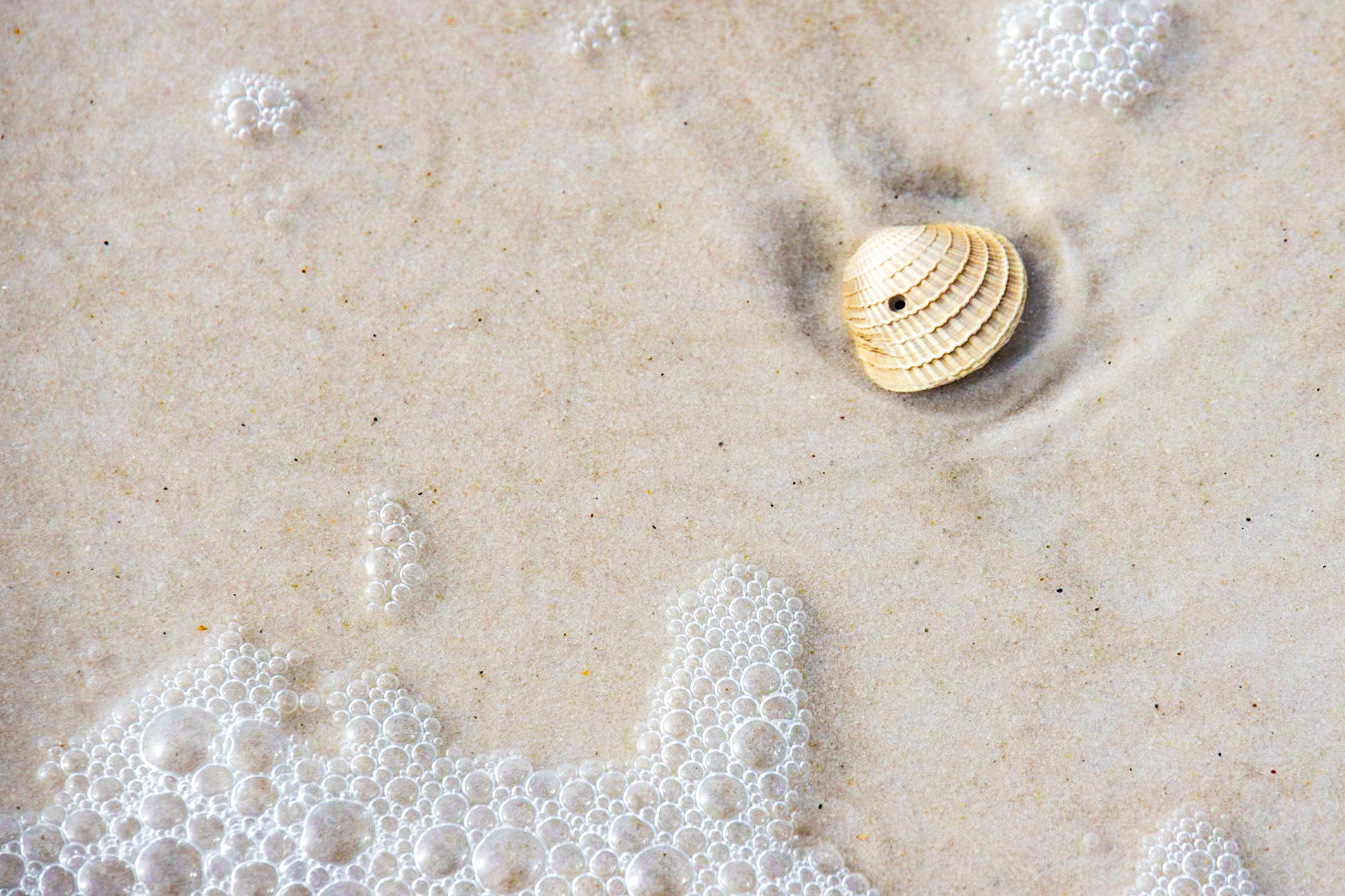 St Andrews State Park