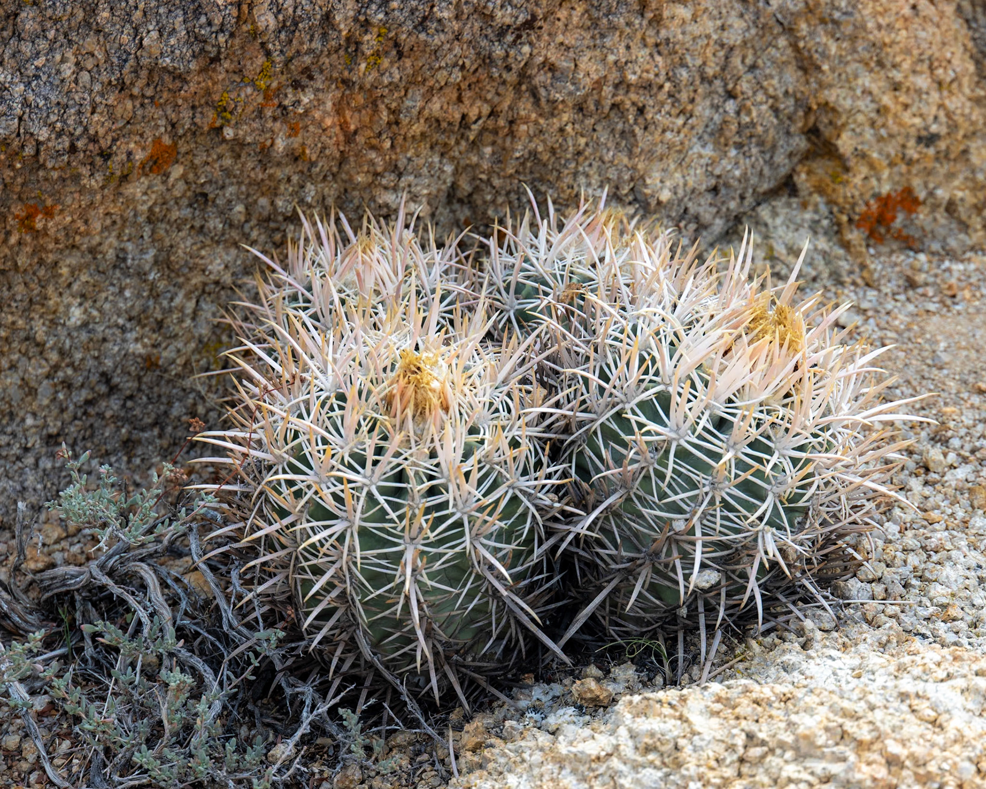 Alabama Hills, Lone Pine CA