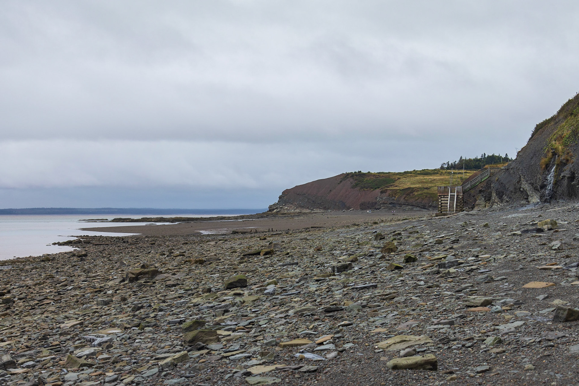 Joggins Fossil Cliffs,