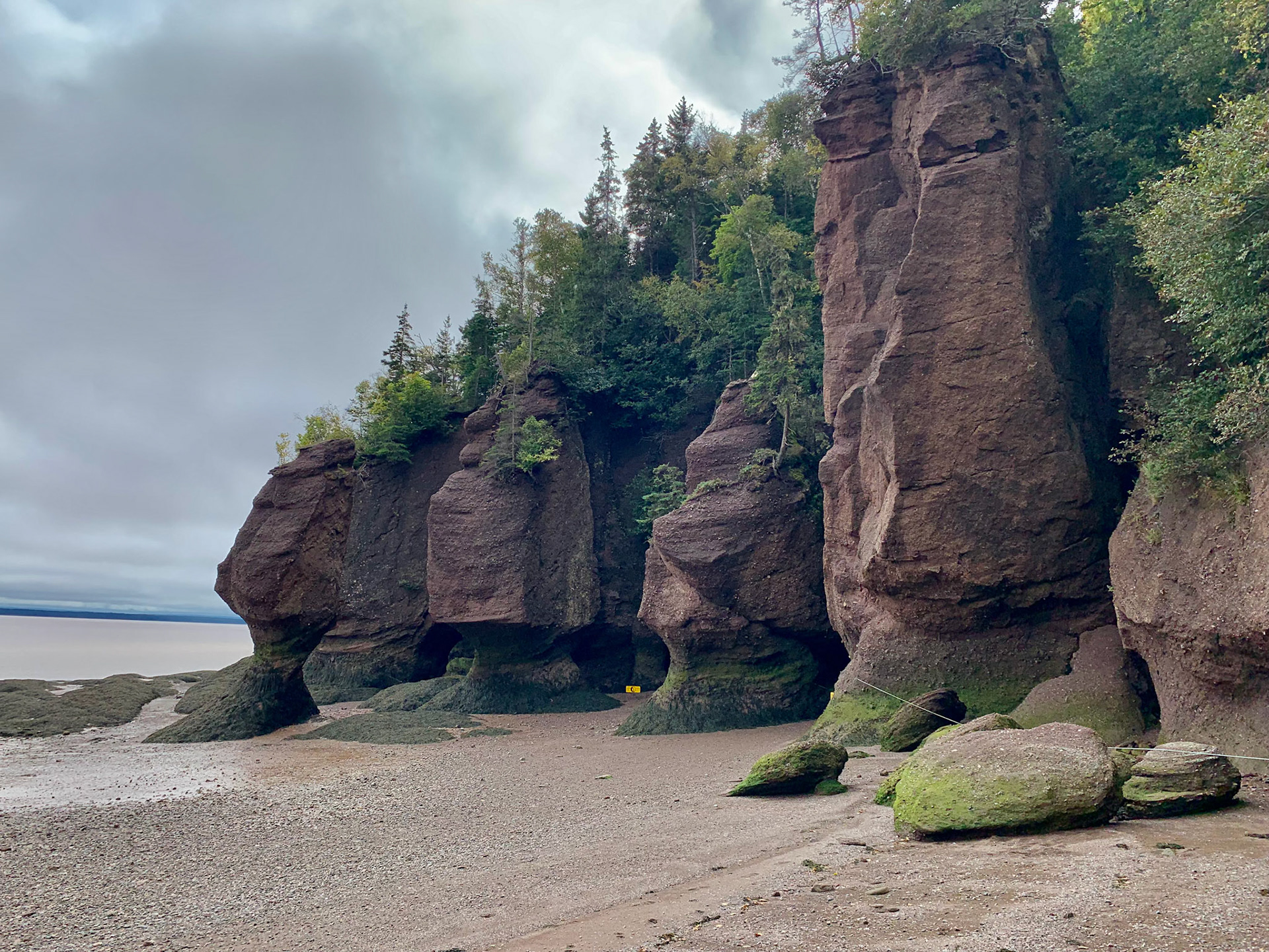 Hopewell Rocks PP, New Brunswick