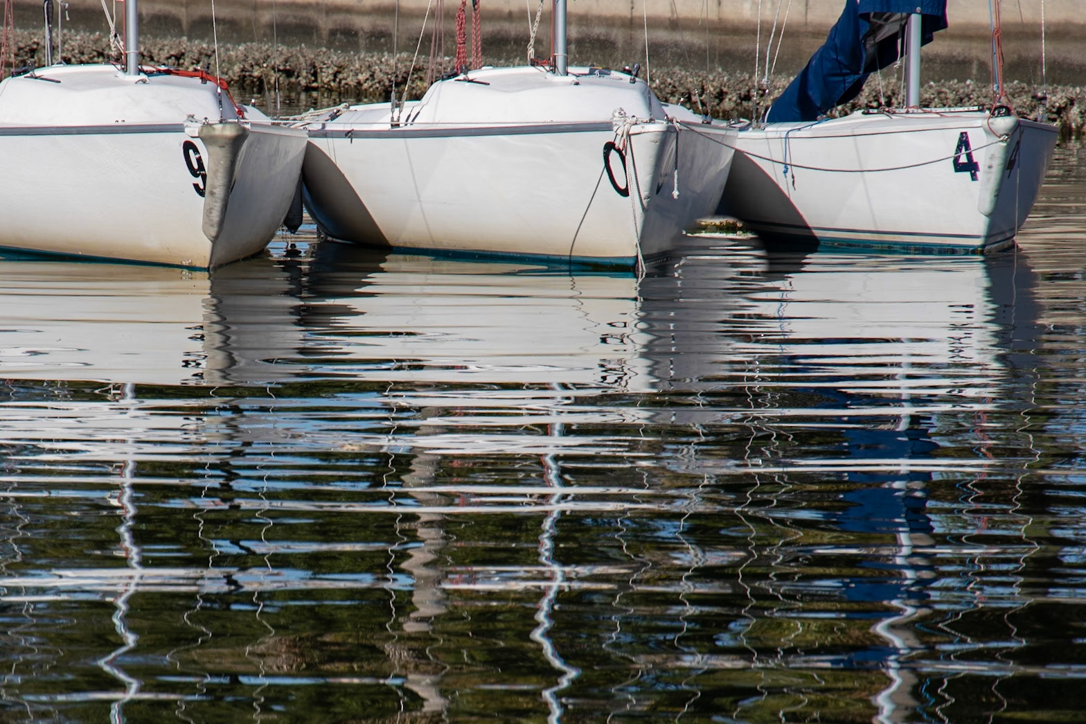 Demings Landing Park, St Petersburg FL