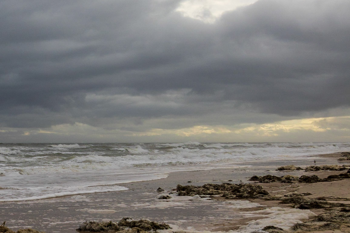 Saint George Island SP,FL