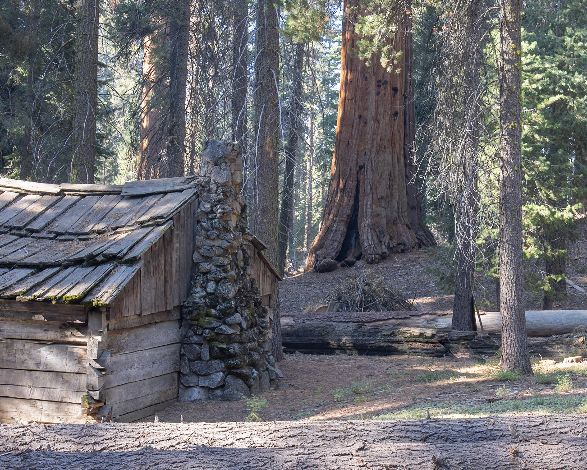 Grant Grove Sequoia NP, CA