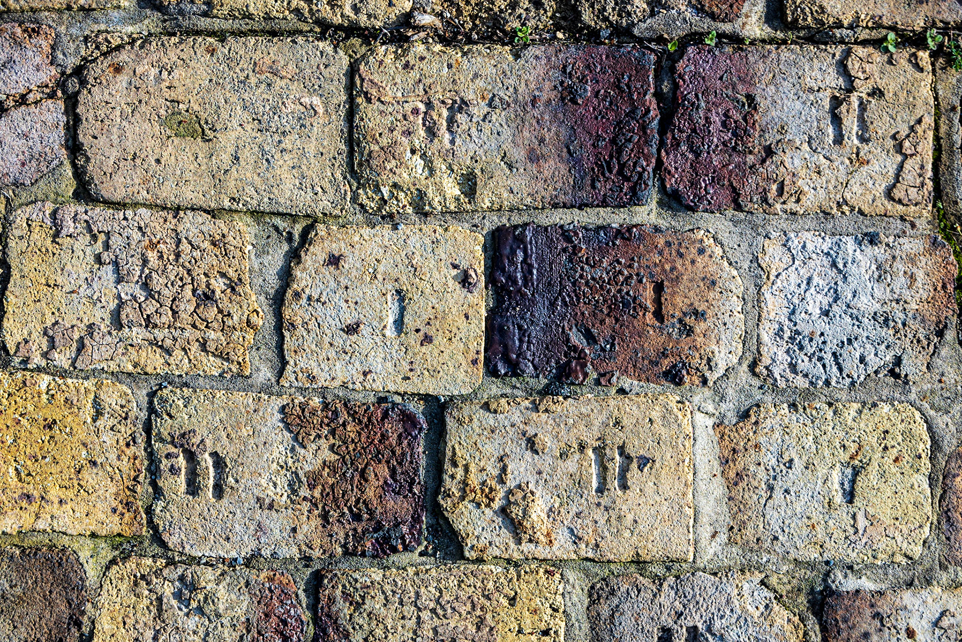 New River Gorge NP, WV