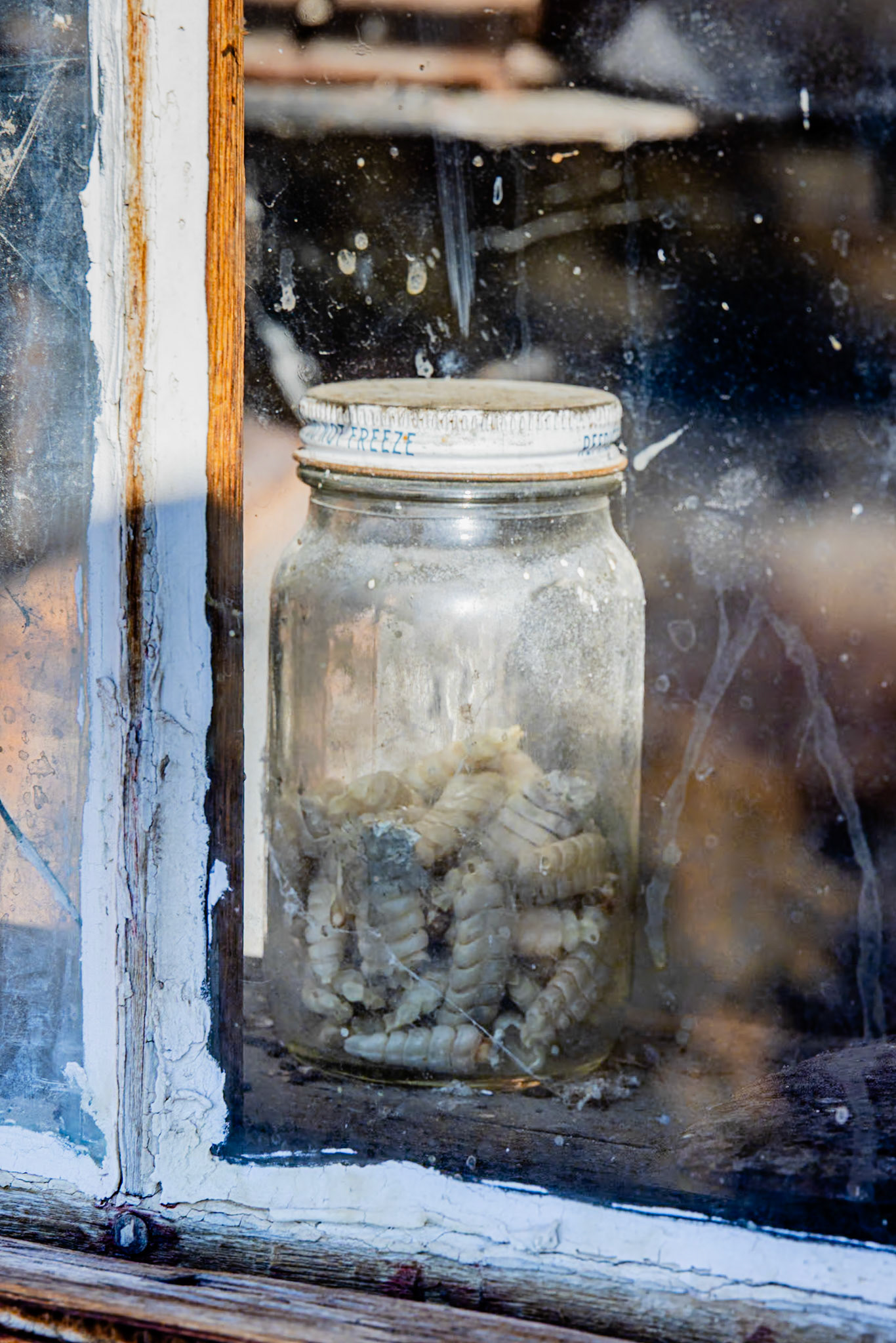 Berlin-Ichthysaur SP, Berlin NV