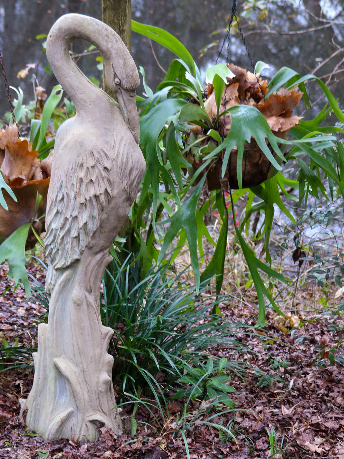 Marcias Home, Tallahassee FL