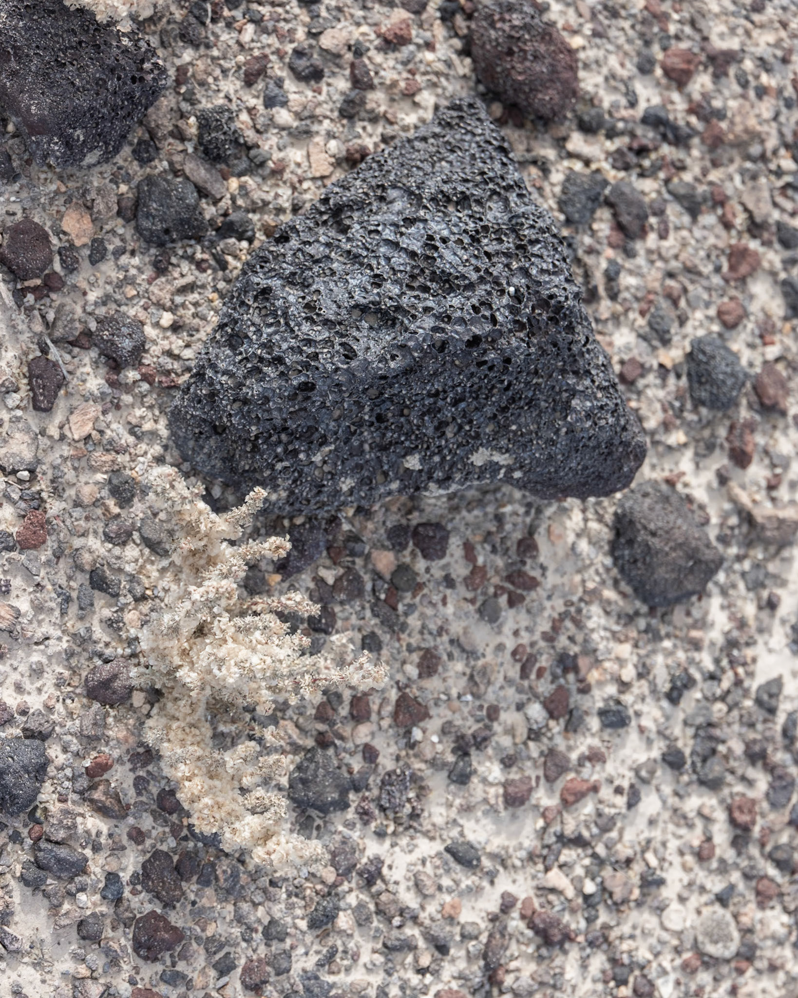 Lunar Crater NM, Warm Springs NV