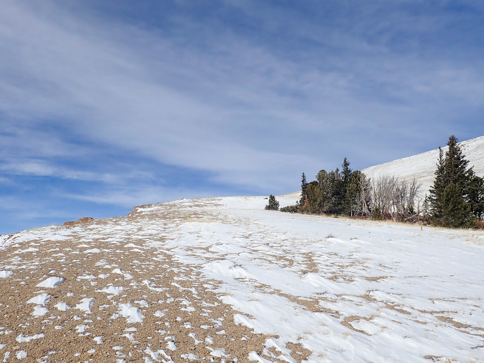 Whiskey Mountain Trail, Dubois WY