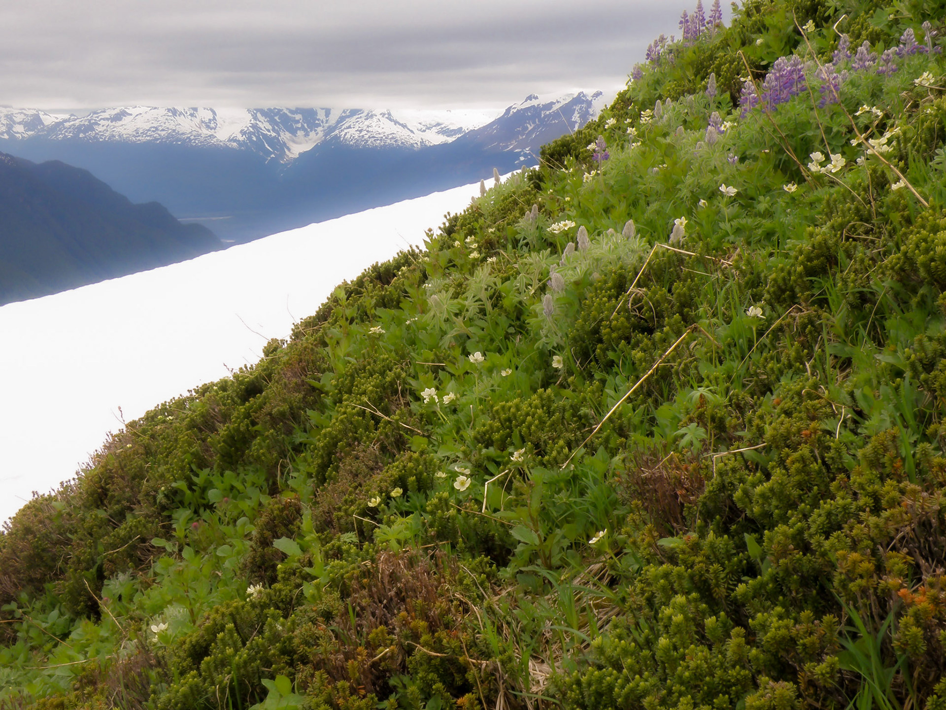 Iskut River, British Columbia