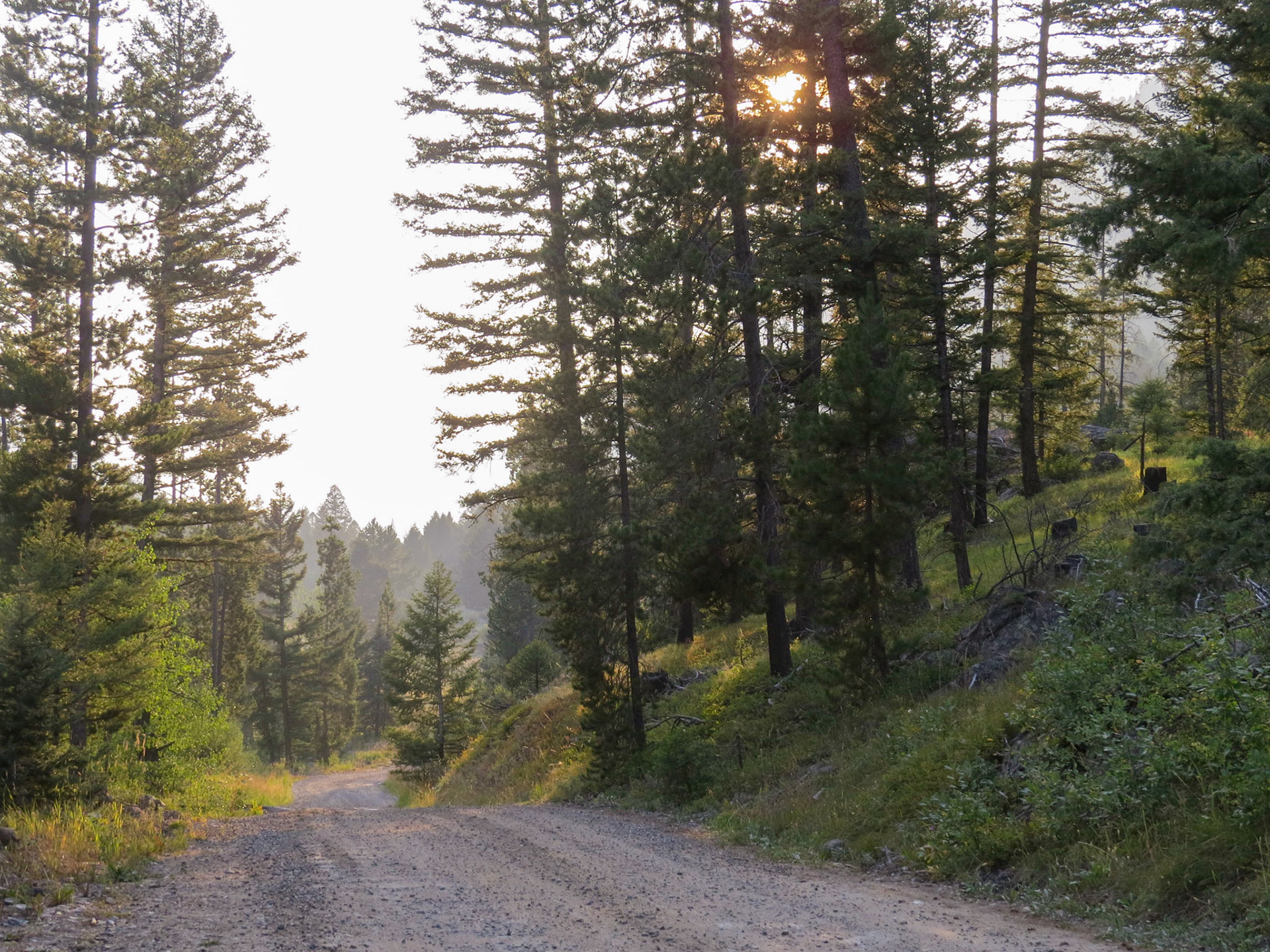 Mill Creek, Tobbacco Root Mts  MT