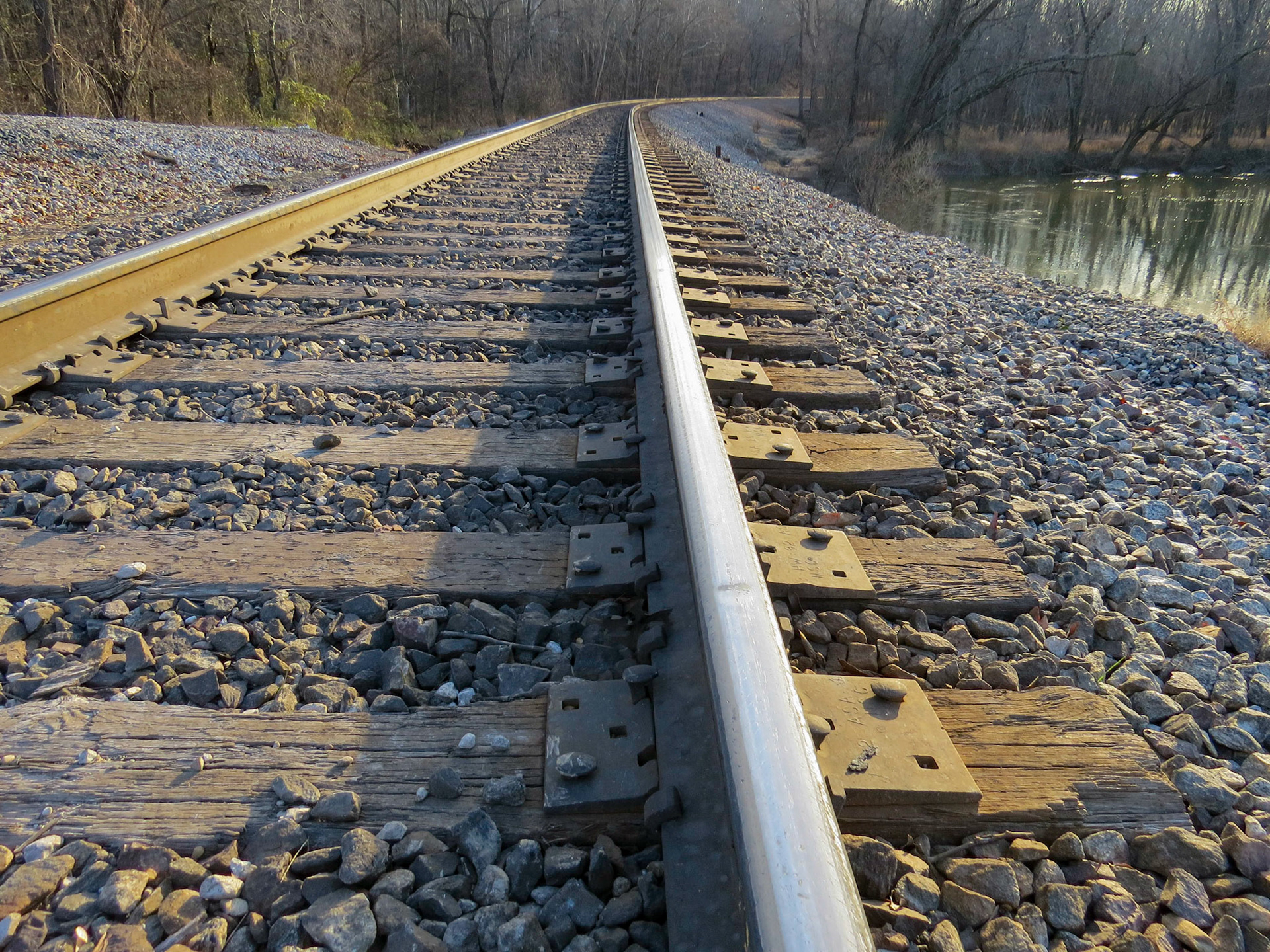 Ozark/st Francis NF Johnson County AR