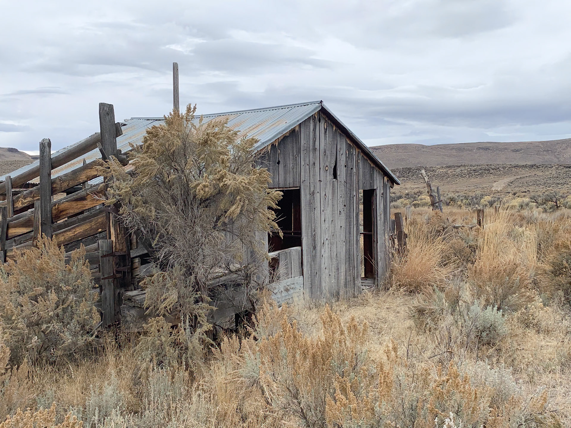 North Black Rock Range Wilderness, NV