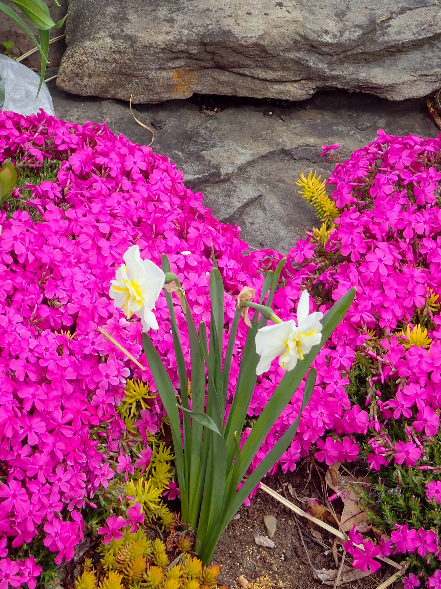 University Circle, Cleveland OH