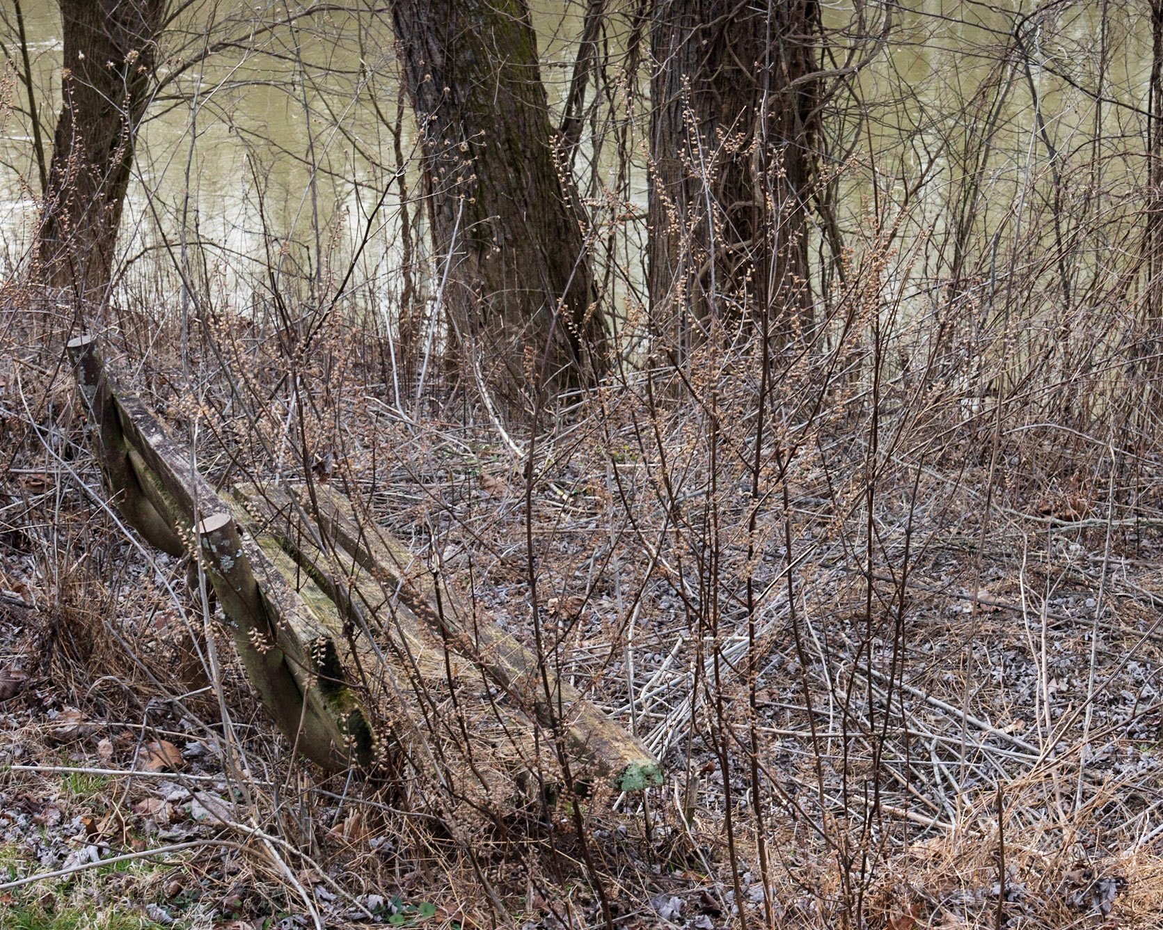 Houchin Ferry CG, AL