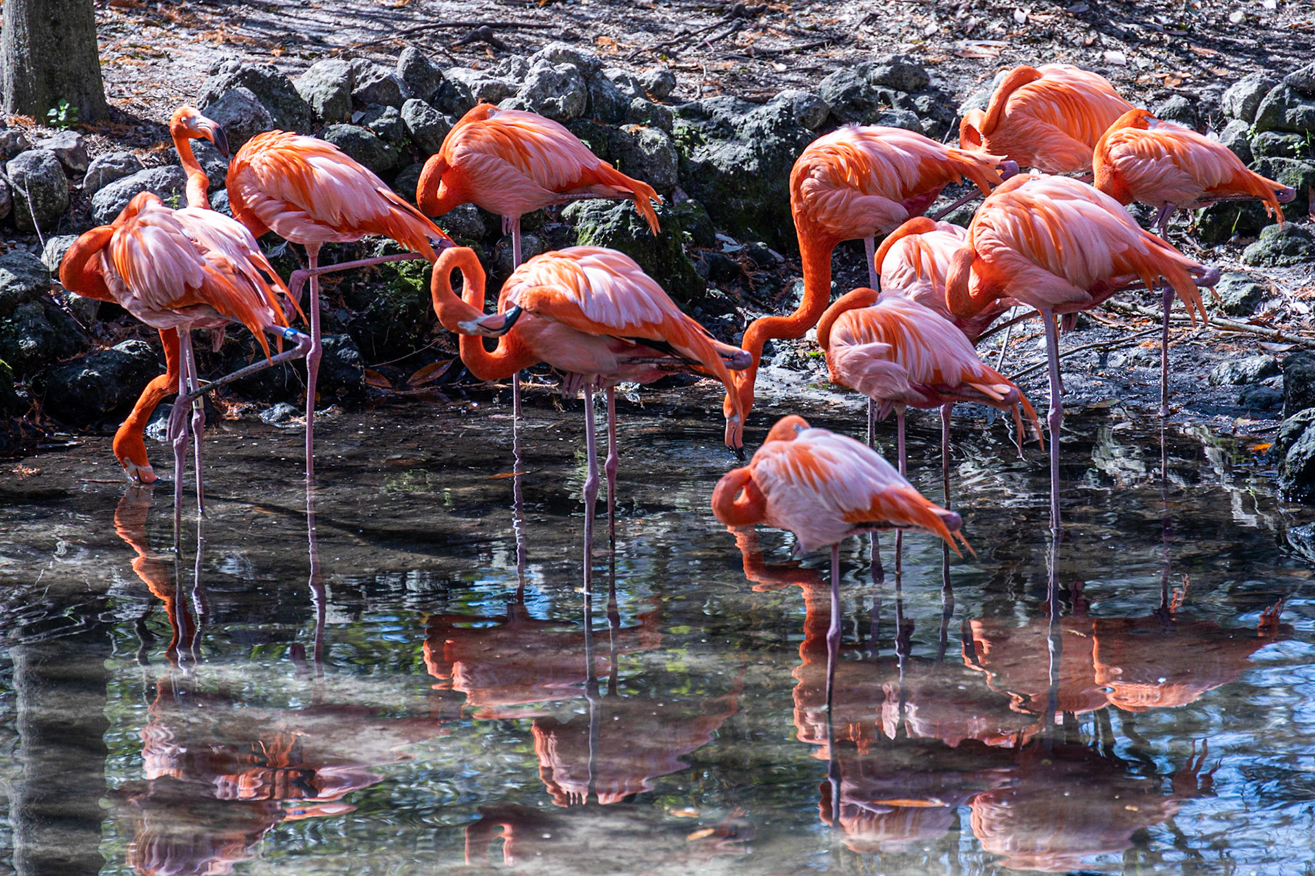 Ellie Schiller Wildlife SP