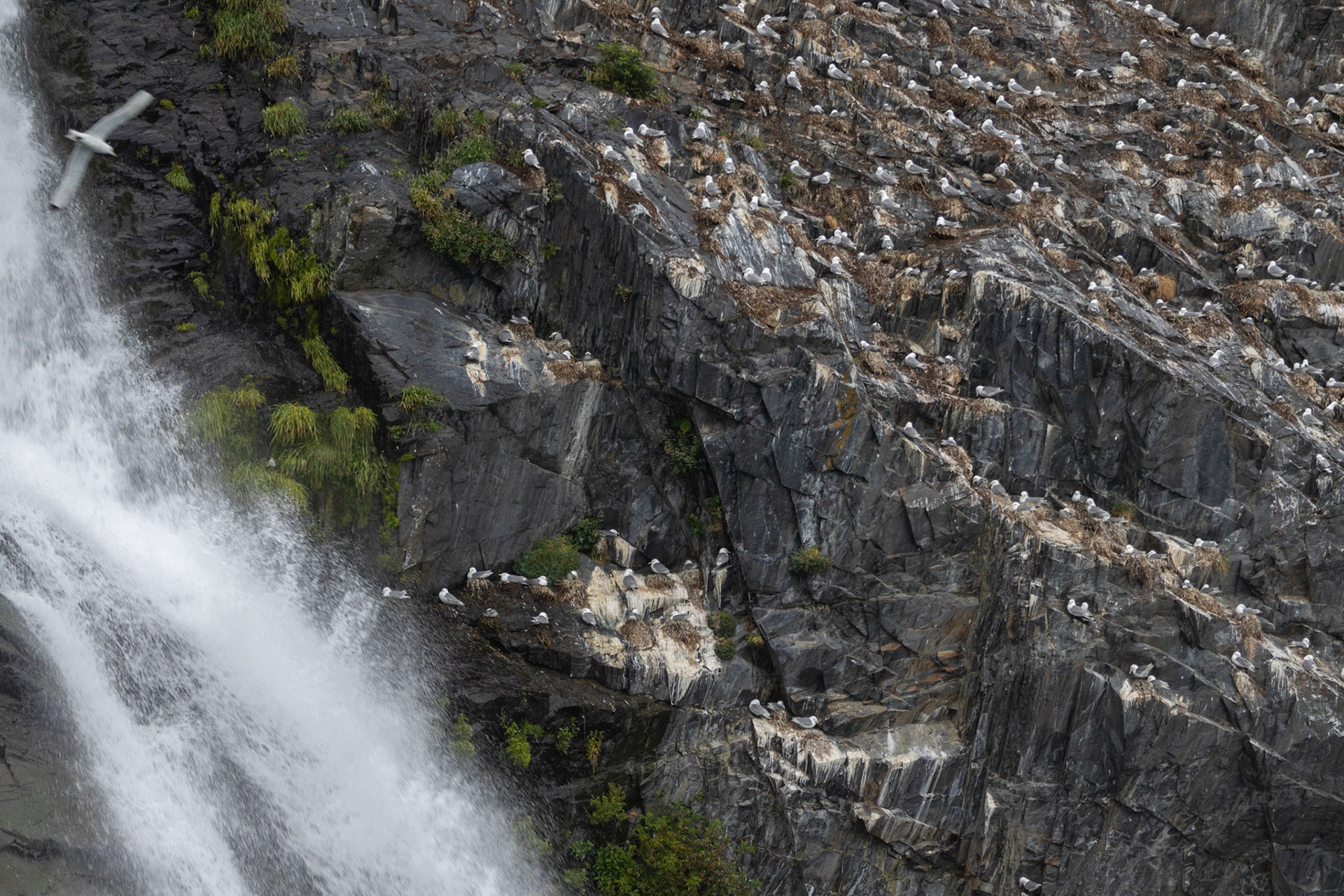 Prince William Sound AK