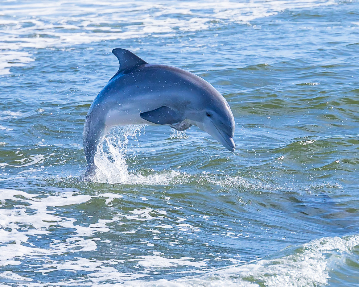 Appalachicola Bay, FL