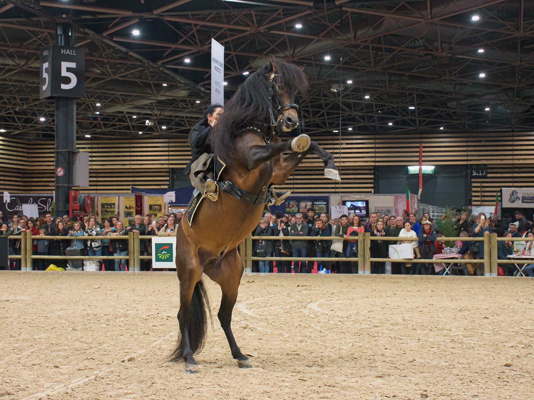 Eurexpo, Lyon, France