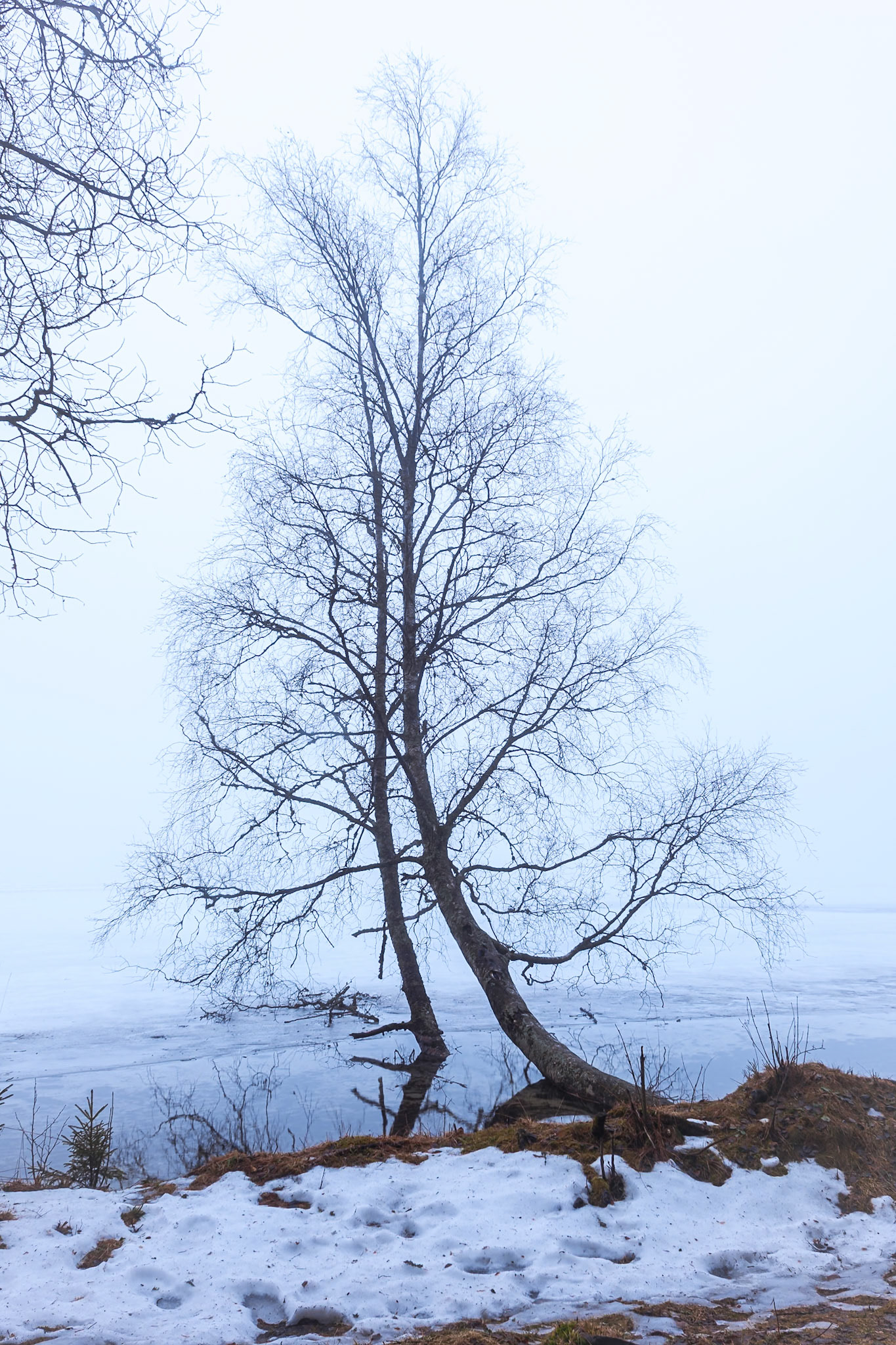 Oslo, Norway, Sognsvann lake