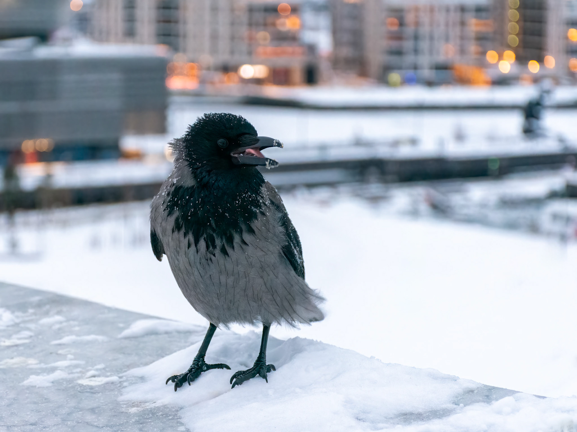 Oslo, Norway