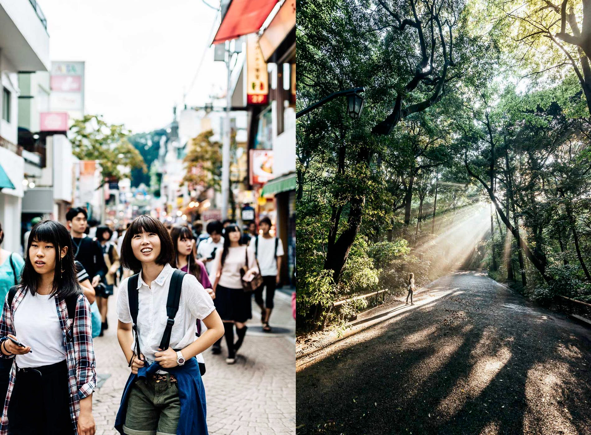 Women wander along Harajuku's Takeshita Street, Shibuya City, Tokyo, Japan; a woman enjoys afternoon sunlight in the forest surround Meiji Jingu shrine, Yoyogi, Shibuya City, Tokyo, Japan