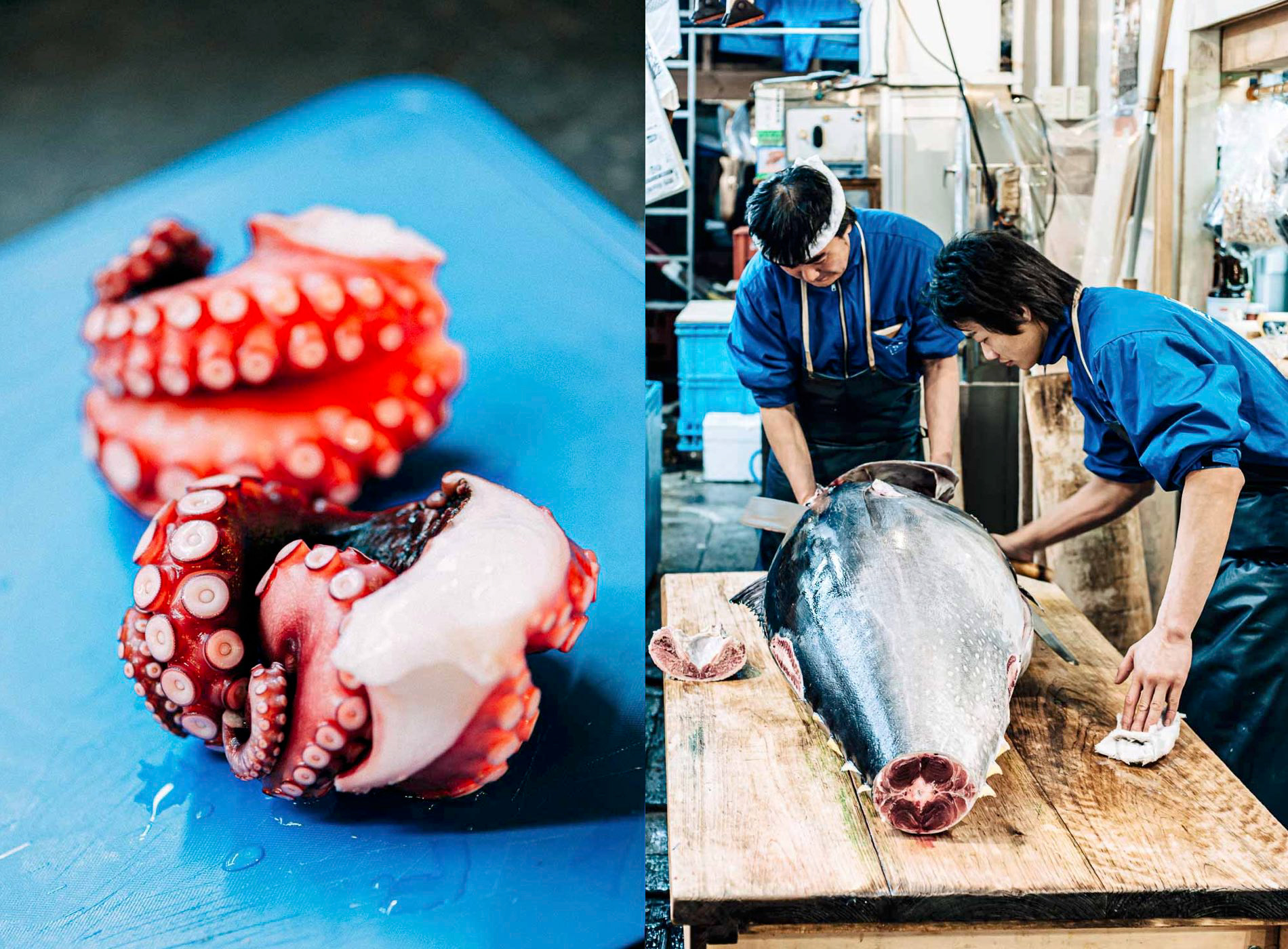 Two moment at the (now closed) Tsukiji Fish market: octopus; preparing a whole tuna bought earlier at the tuna auction, Tsukiji Fish Market, Tsukiji, Chuo City, Tokyo, Japan