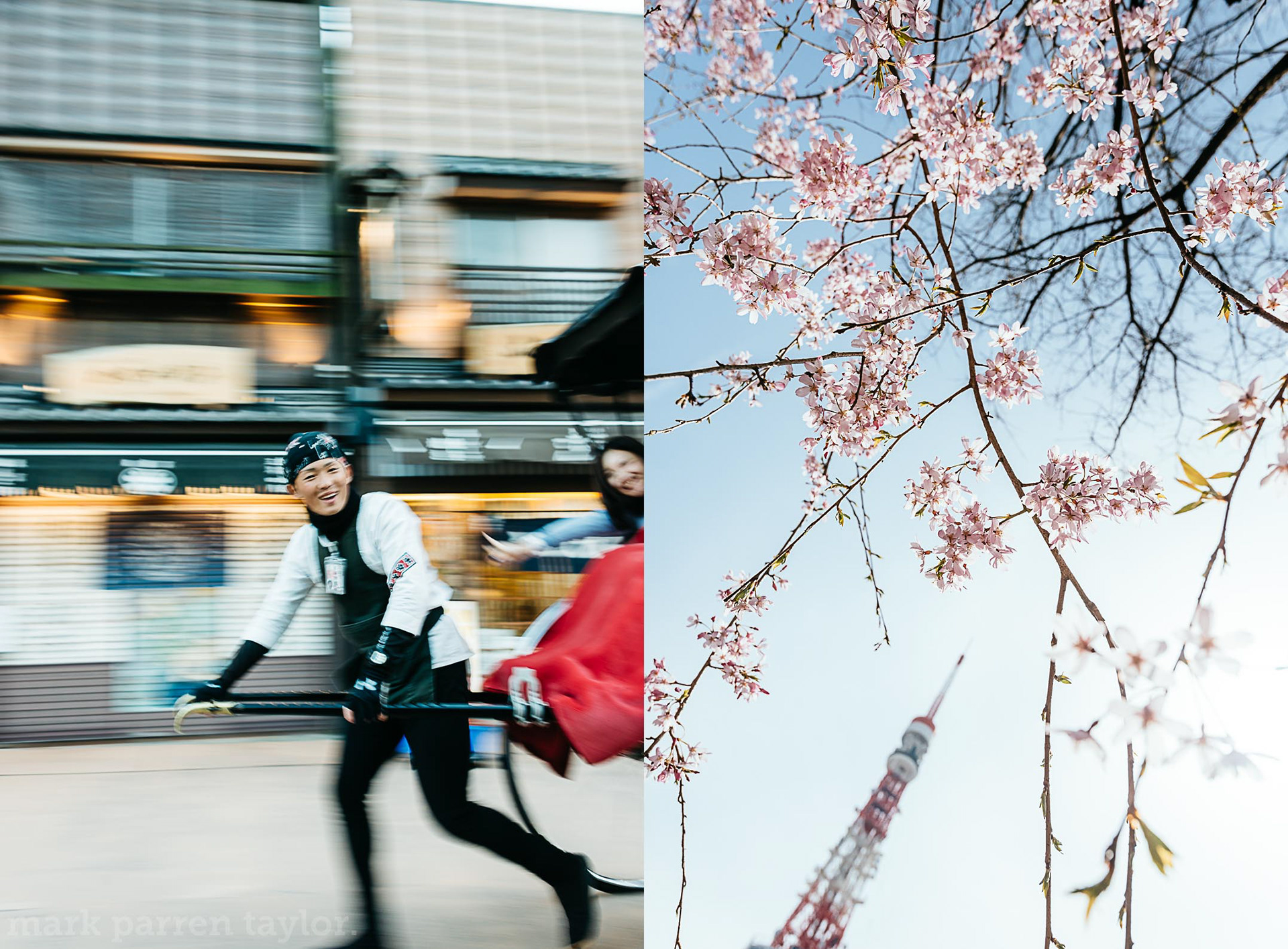 A rickshaw runner and his customer enjoy a ride through Asakusa's back streets, Asakusa, Taito City, Tokyo, Japan; sakura cherry blossom and Tokyo Tower on a lovely spring day, Minato City, Tokyo, Japan