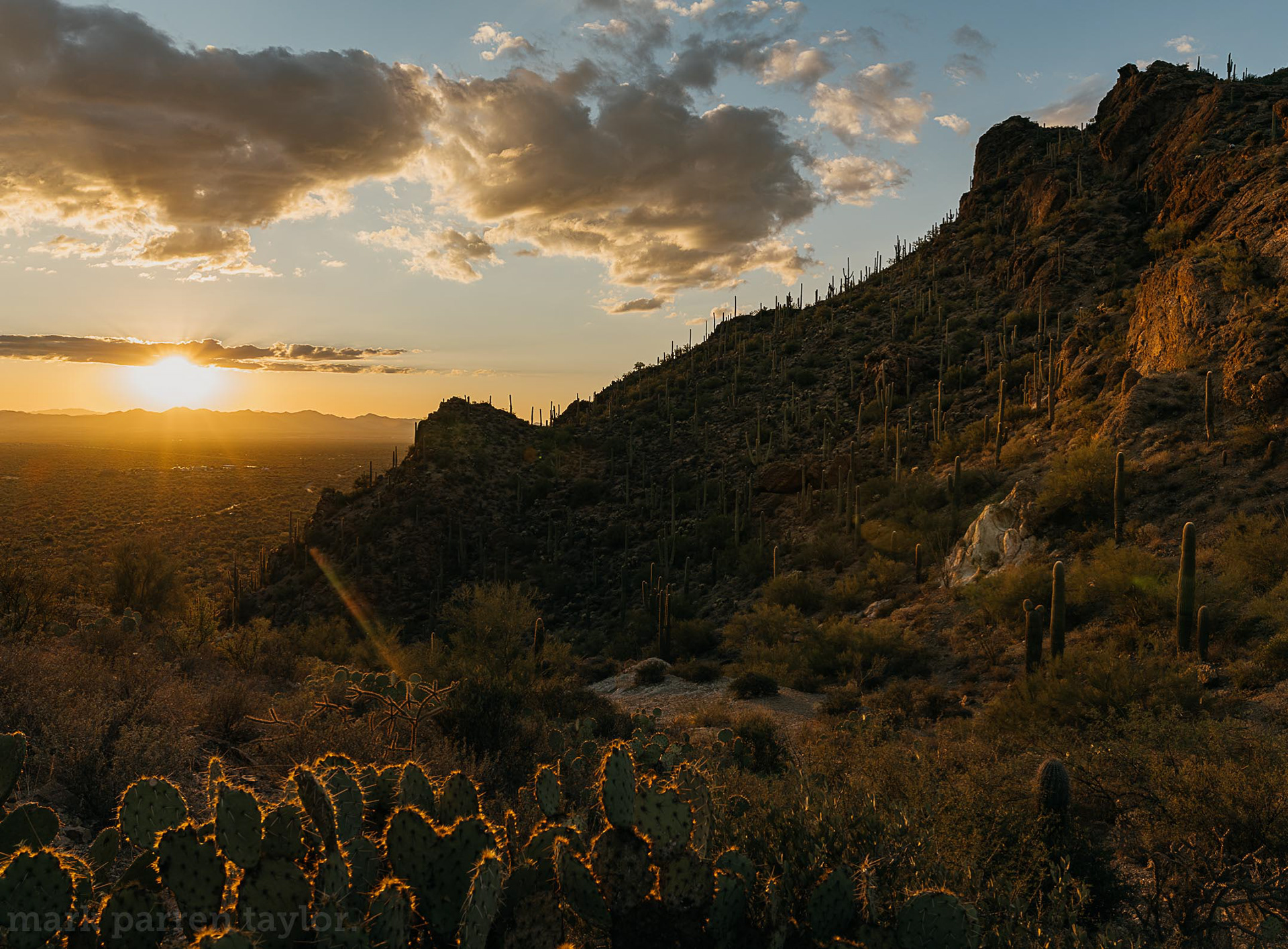 Tucson Arizona sunset