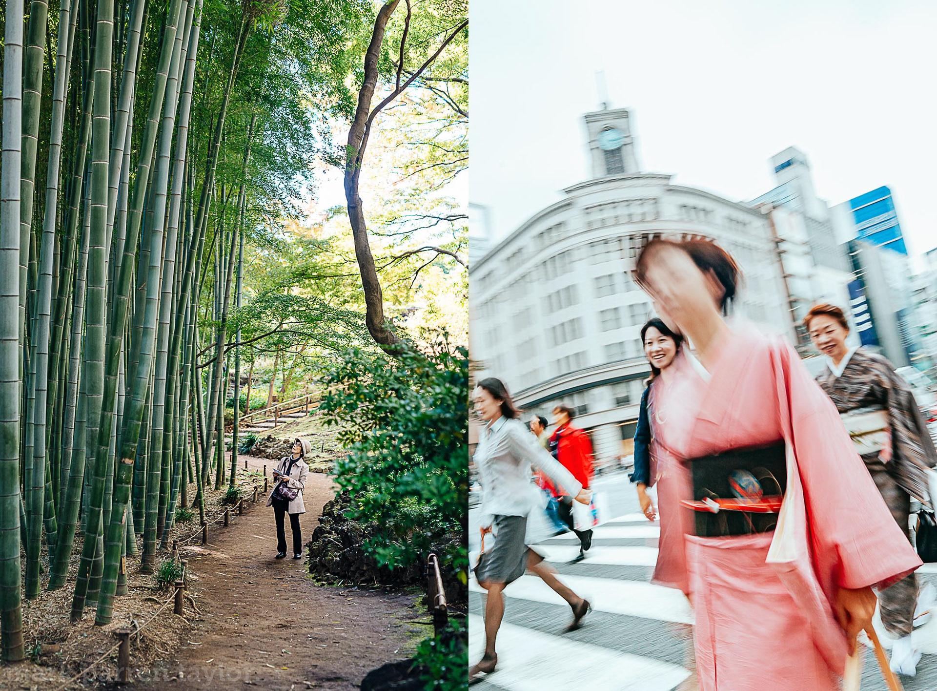 Enjoying the beautiful plants and trees of Tonogayato Garden, Minamicho, Kokobunji, Tokyo, Japan; women dressed in contemporary style and in kimono cross Chuo-dori street in central Ginza adjacent to Seiko House Ginza Clock Tower, Ginza, Chuo City, Tokyo, Japan