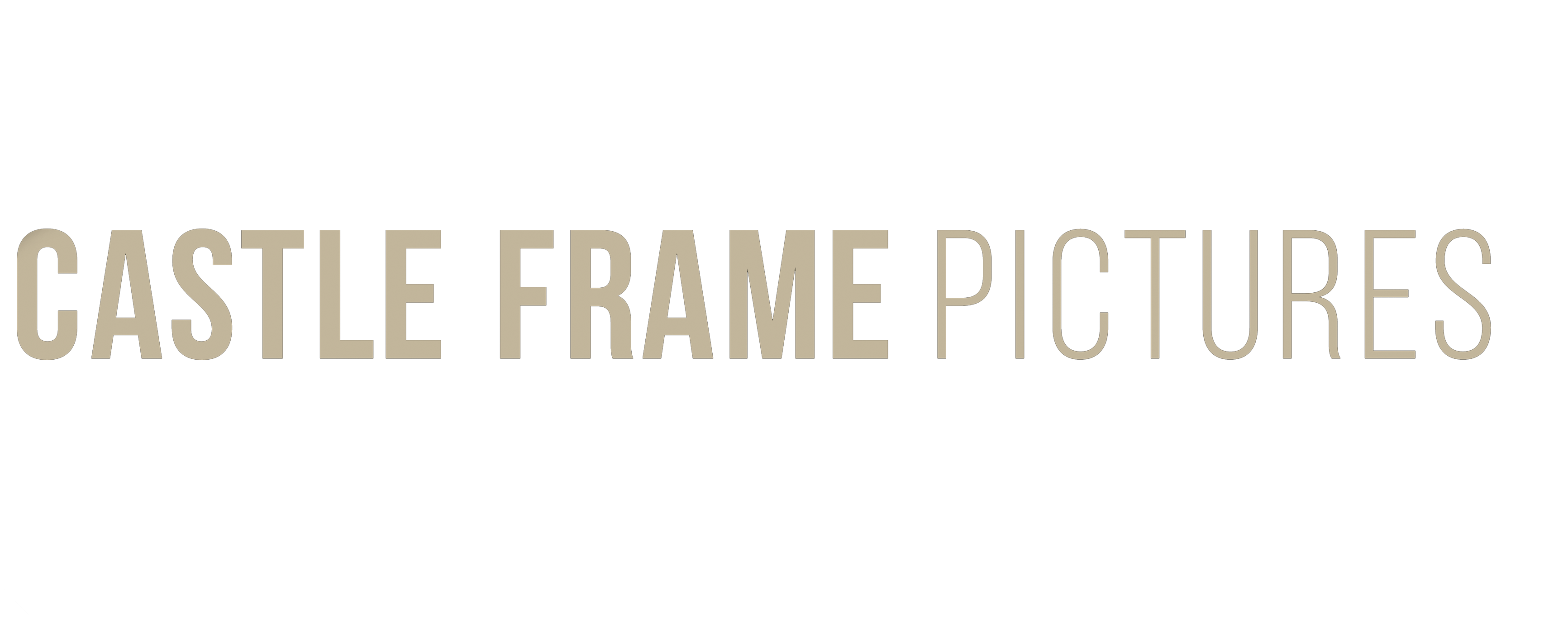 CASTLE FRAME PICTURES