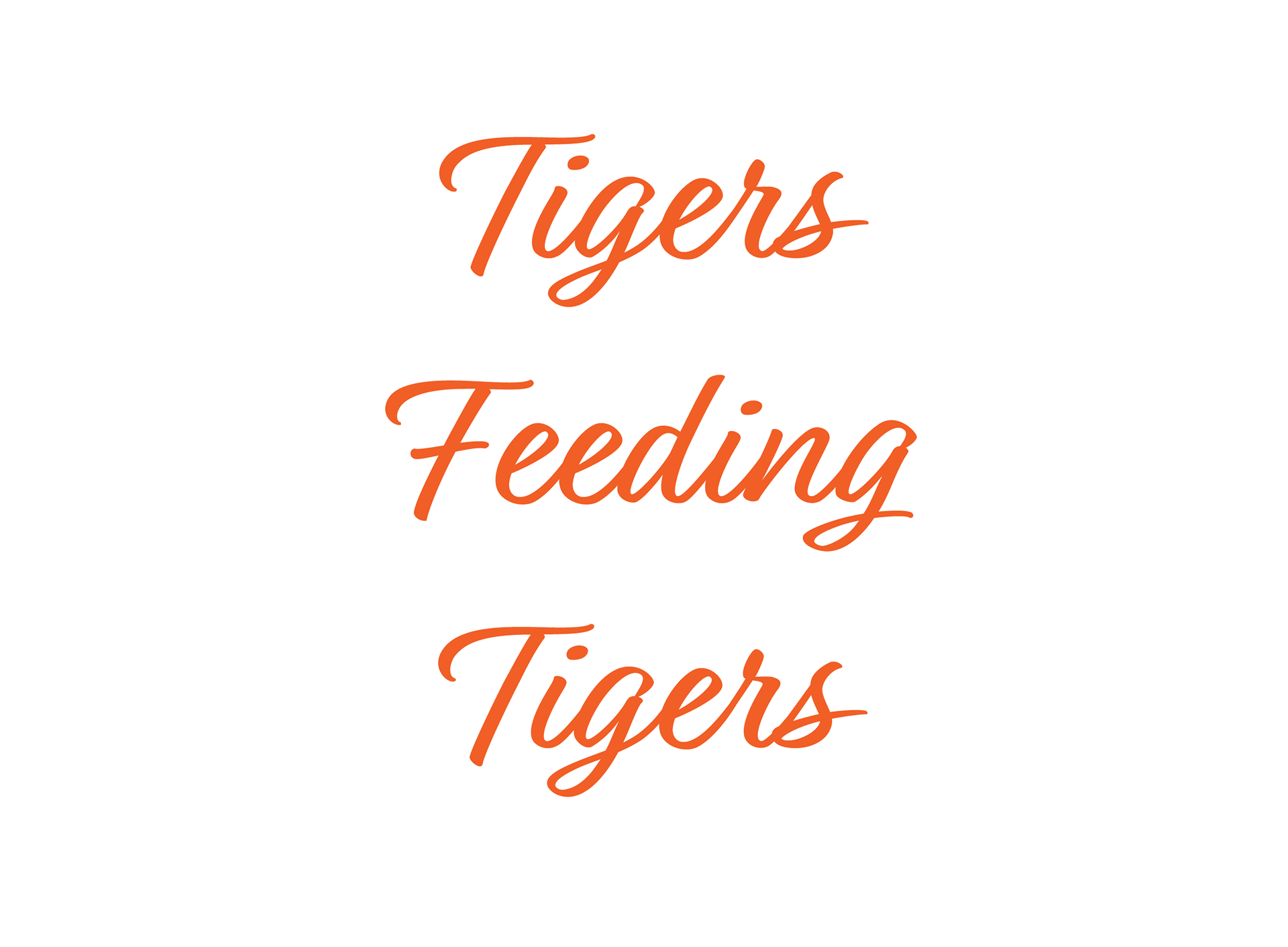 Decorative Type