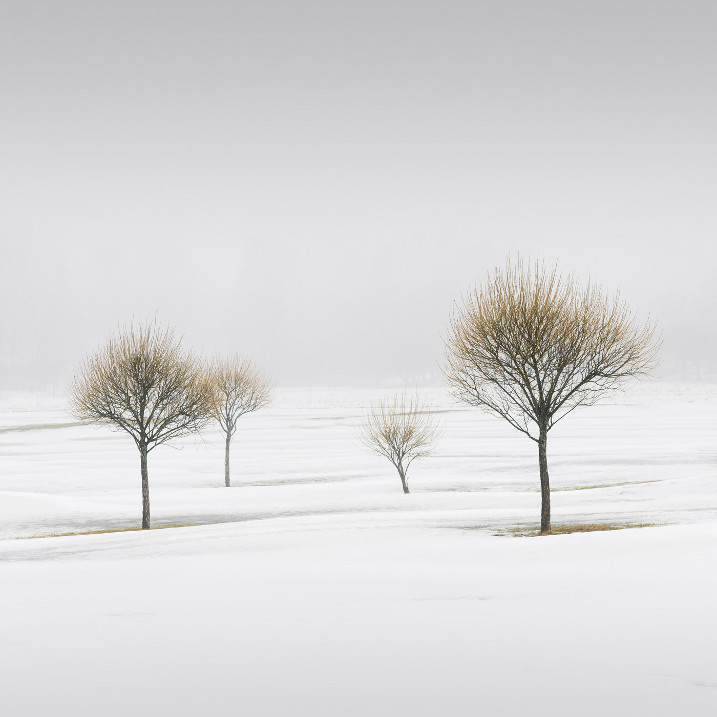 Winter Poetry II