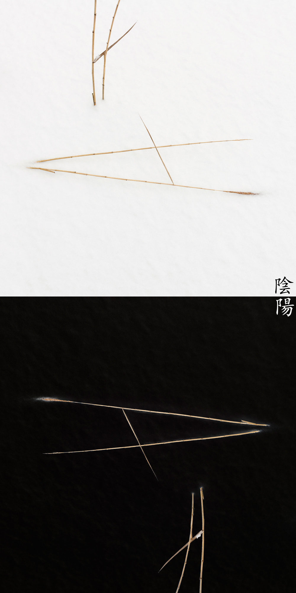 Reed Calligraphy - Yin Yang ed. No.18